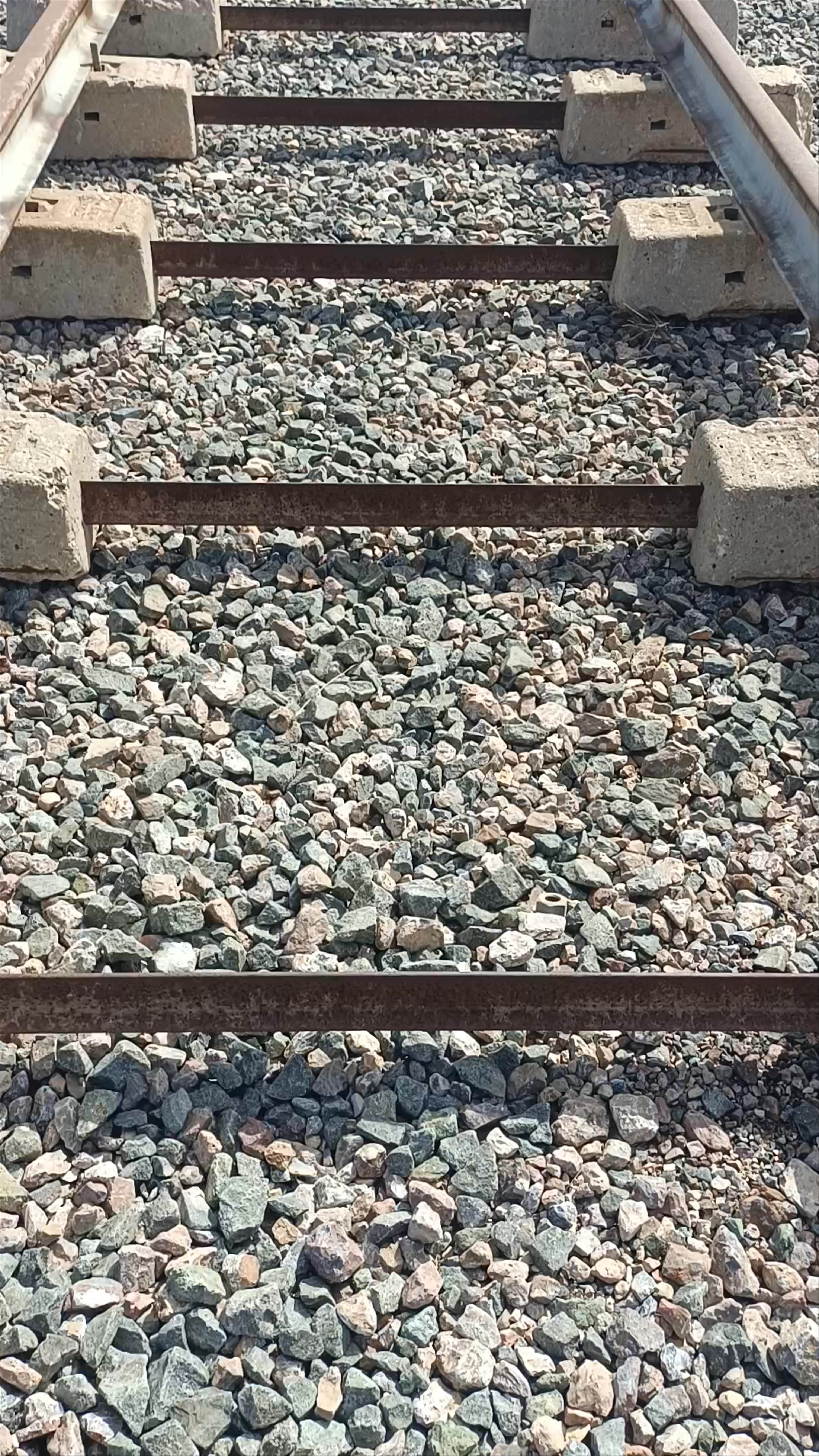 Inicio Via Verde Floración Cieza