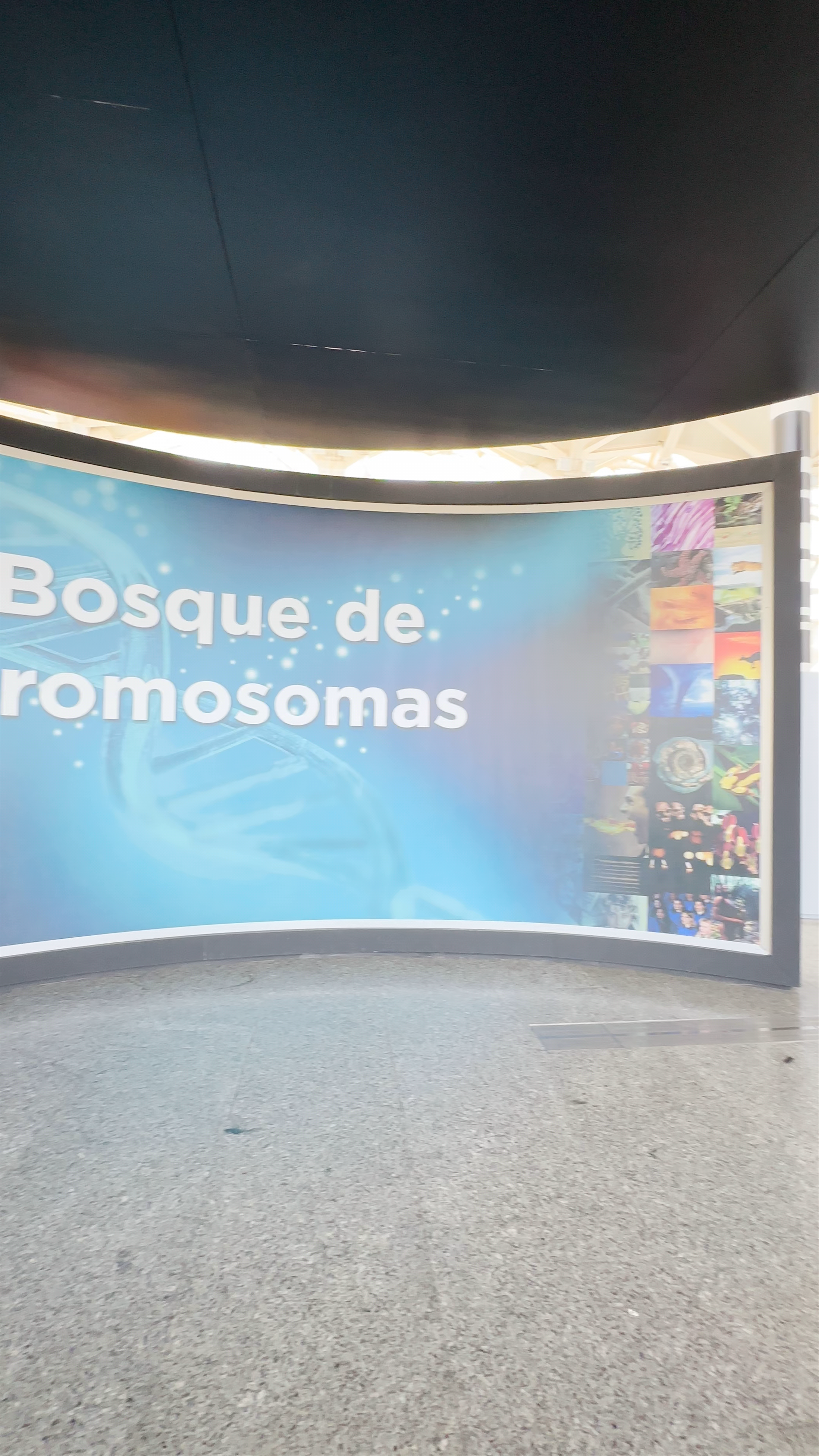 Explore the Museo de las Ciencias in Valencia, Spain: A Futuristic Science Journey