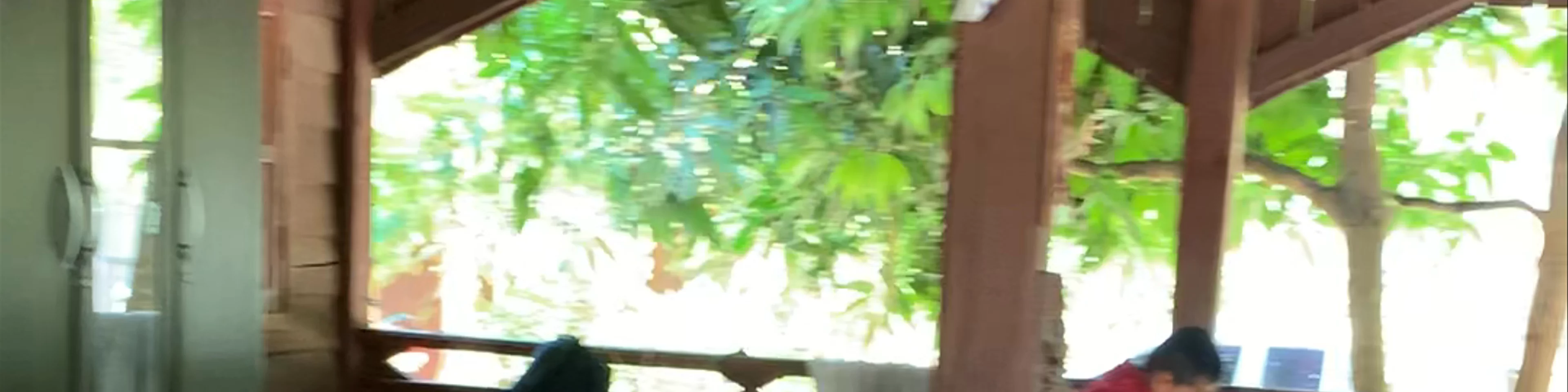 Konglor Cave Guesthouse