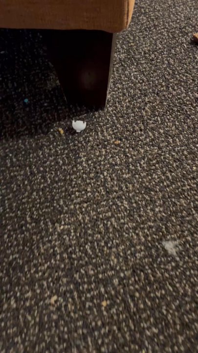 Red Mountain Resort - Our dog found this under the couch on the first night. There's a 3-4" gap a vacuum could easily reach w/out moving the couch. ‍ - Resorts Near Me - Ivins, Utah