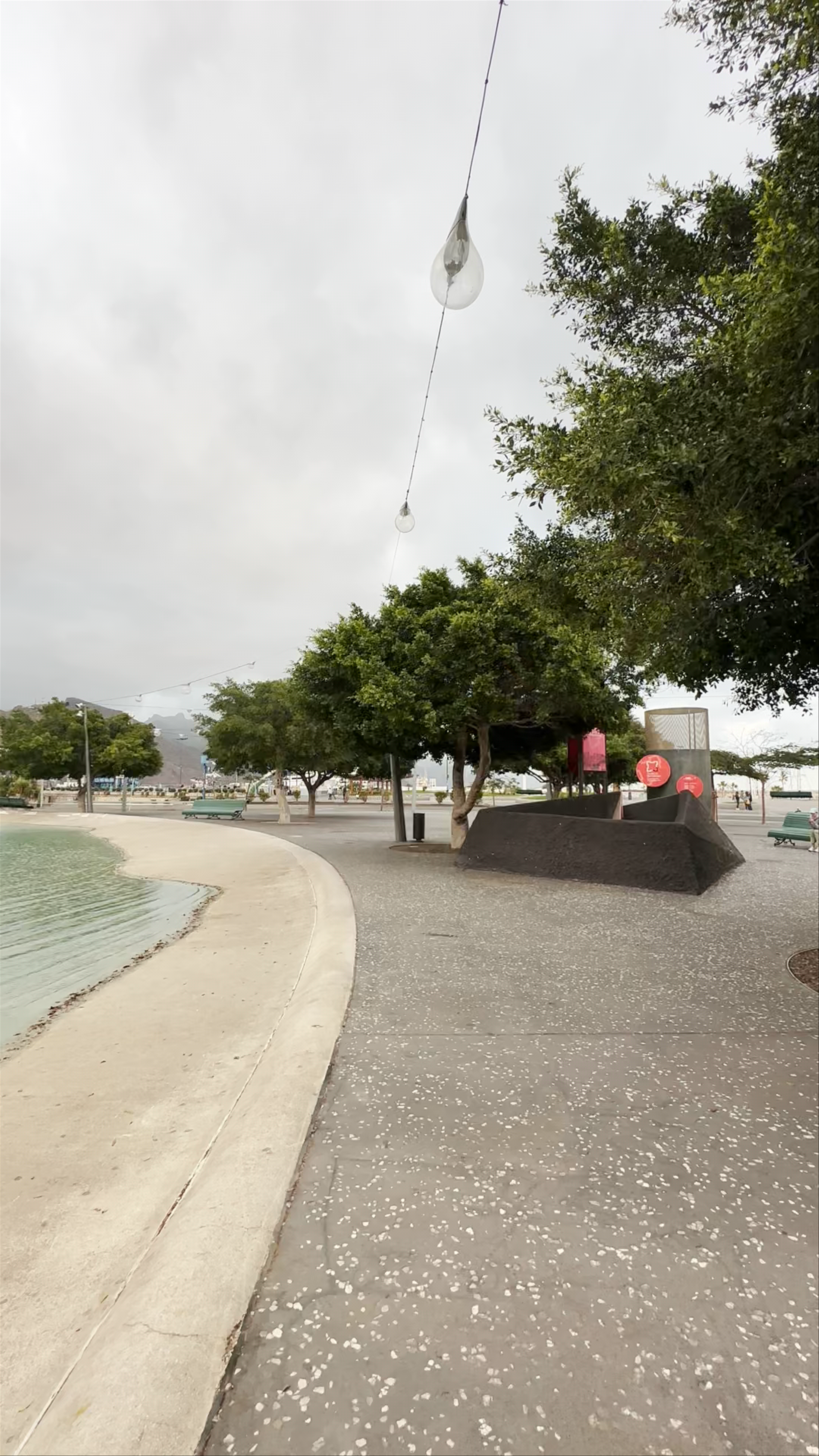 La Charca Lagoon: Urban Oasis in Santa Cruz de Tenerife