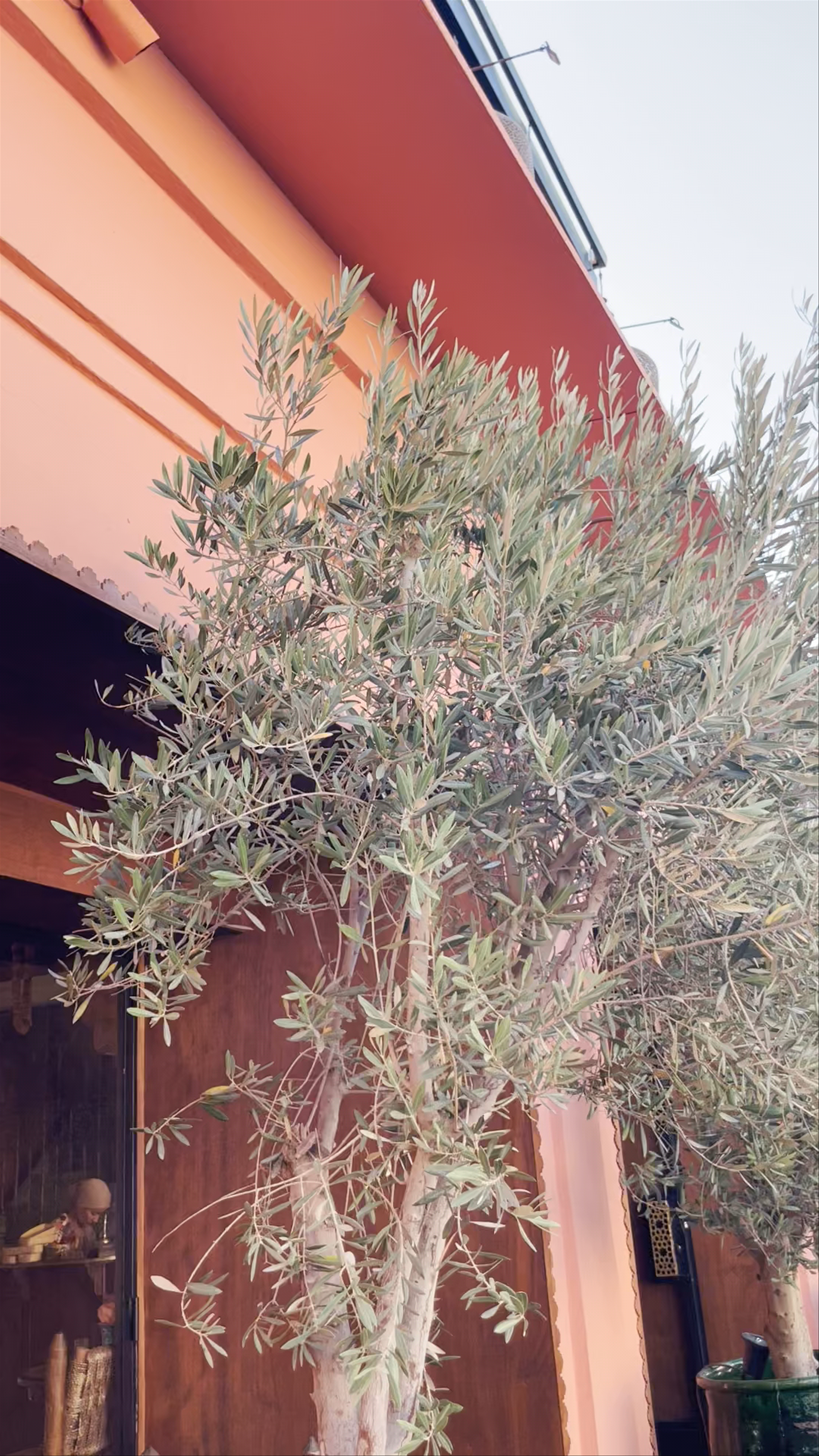 Mosquée Moulay El Yazid