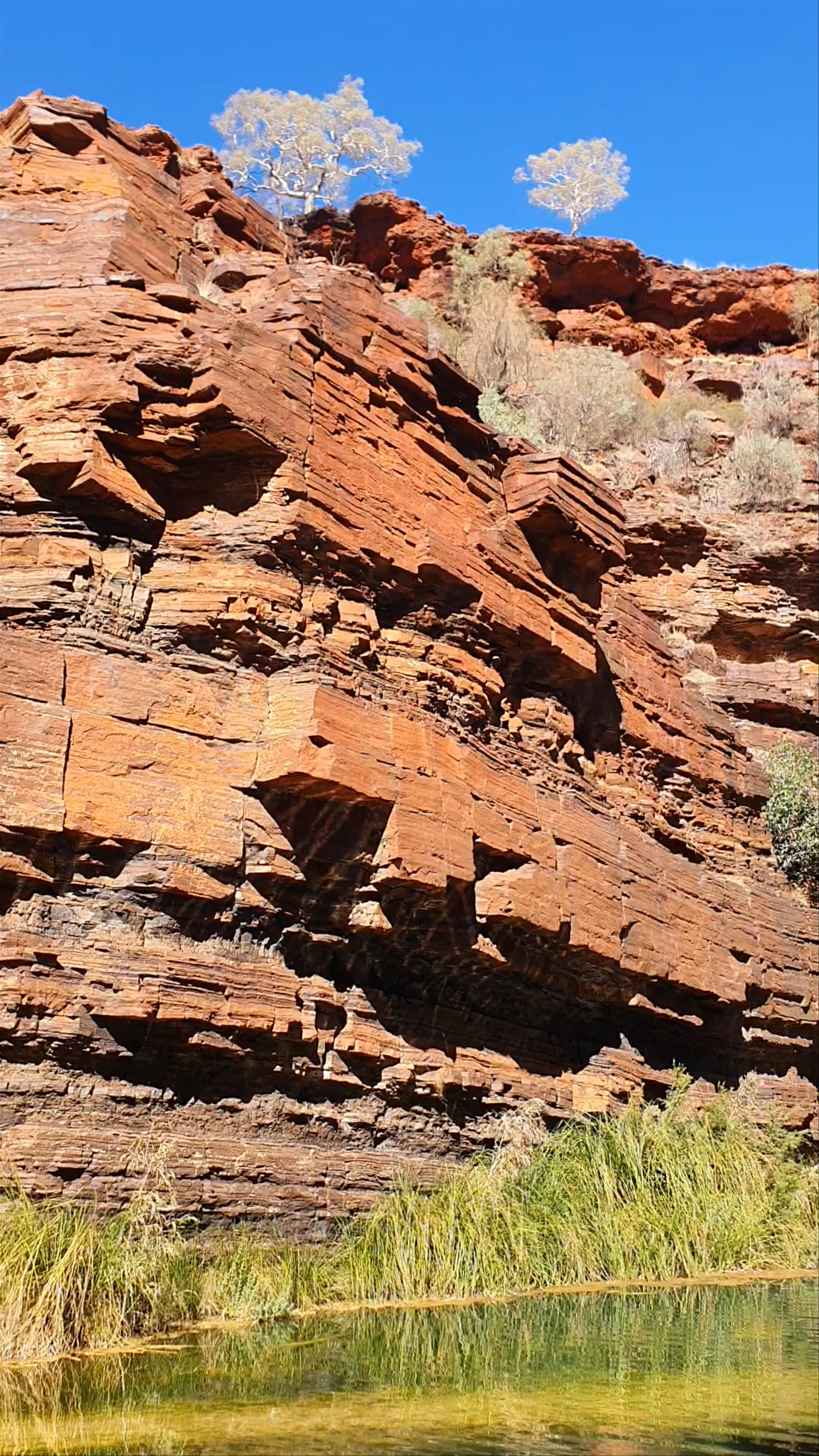 Fortescue Falls