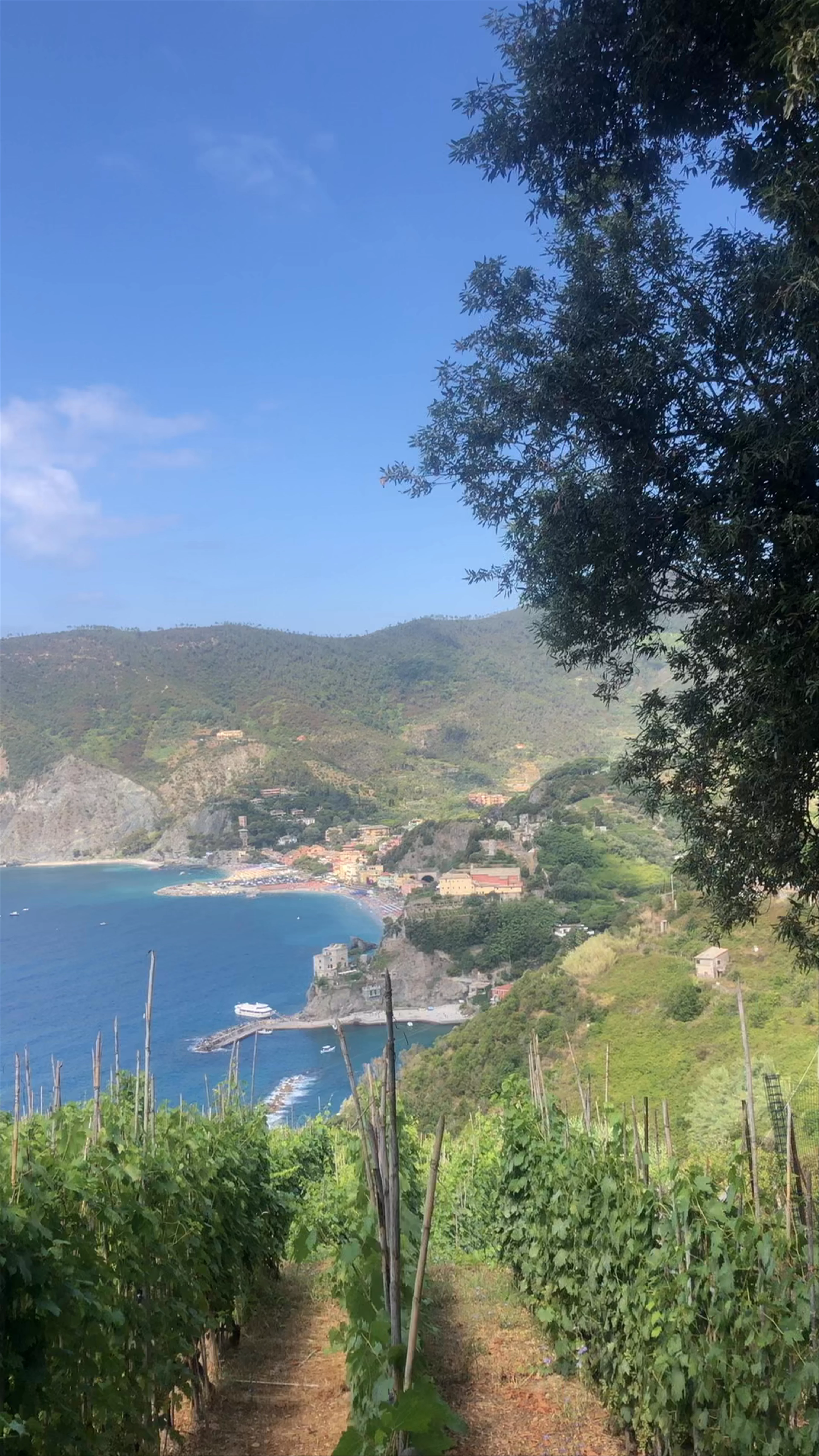 Cinque Terre National Park, Monterosso al Mare