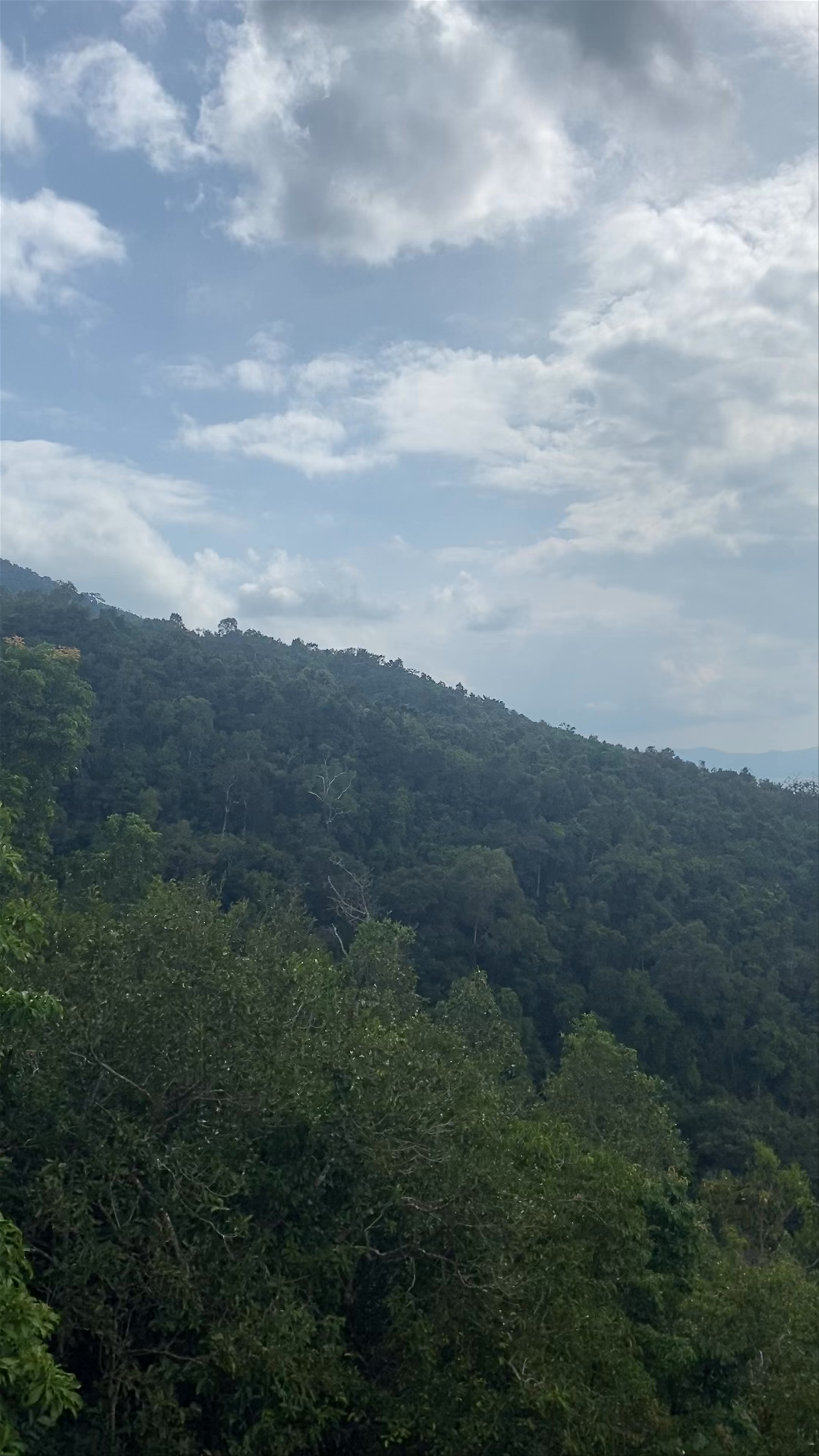 Than Song Praeng Waterfall: Jungle Vista and Tropical Escape in Ko Pha-ngan