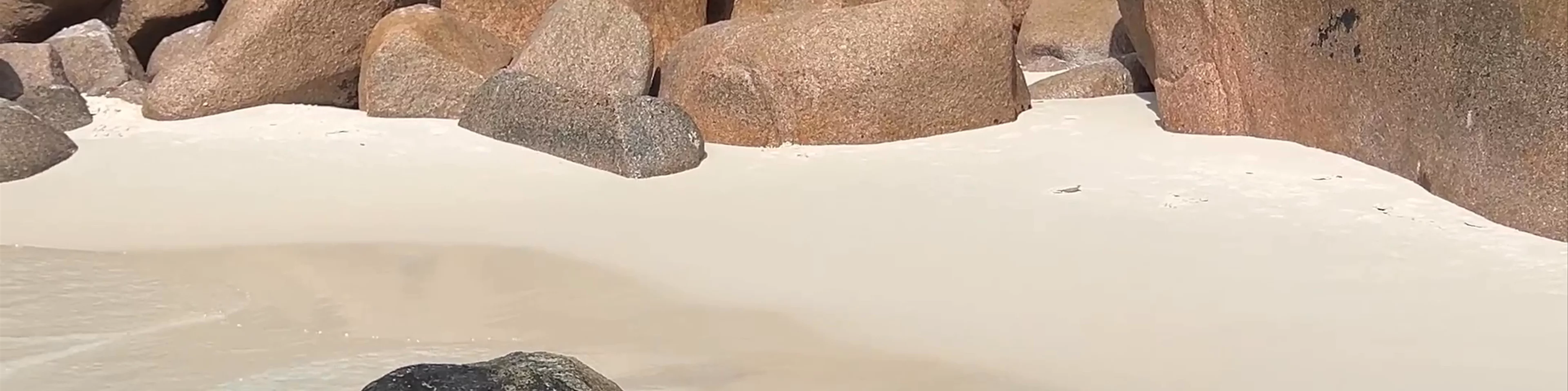 Anse Lazio