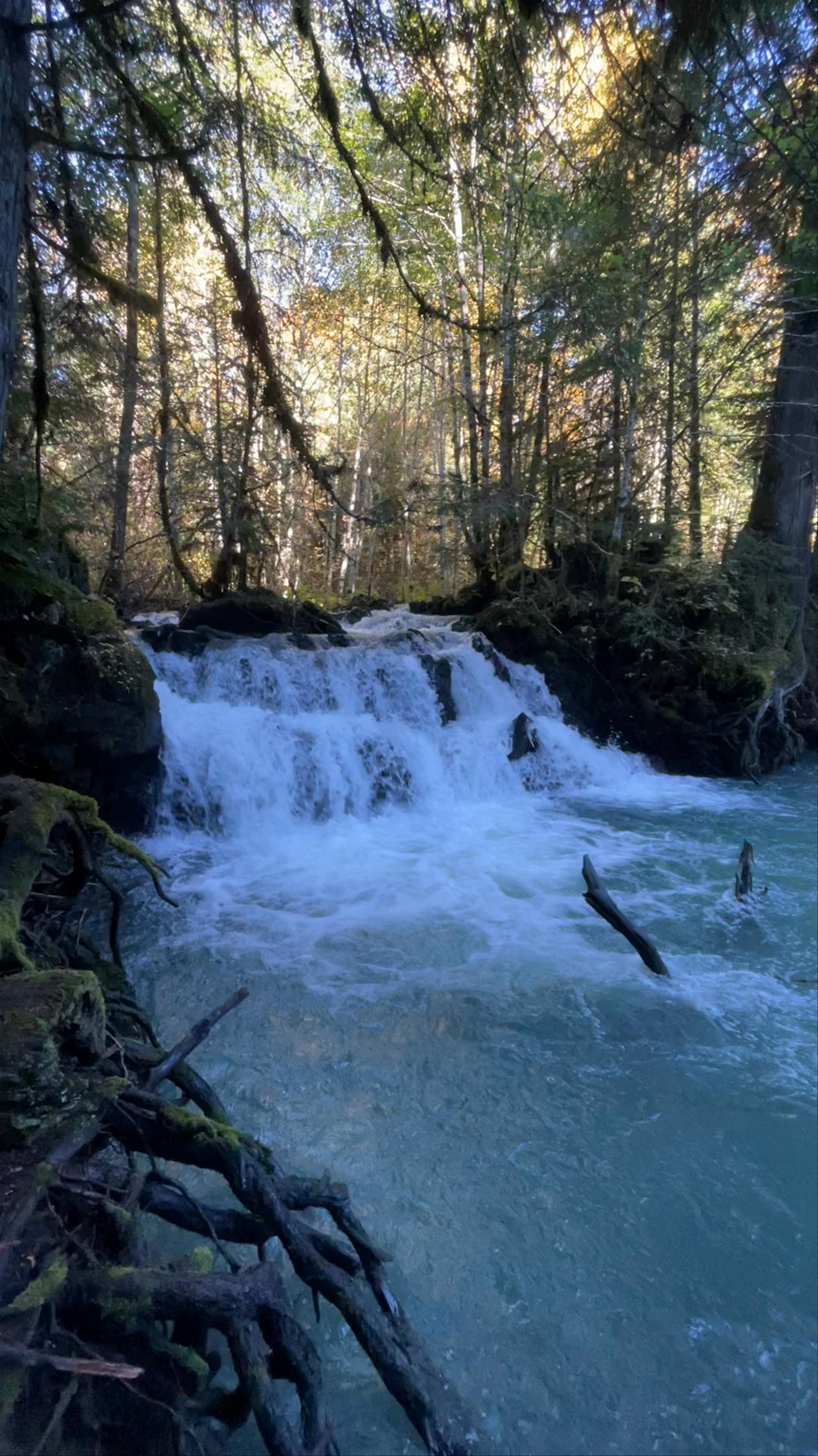 Vetter Falls Lodge: Hidden Natural Waterfall in Nisga'a, British Columbia