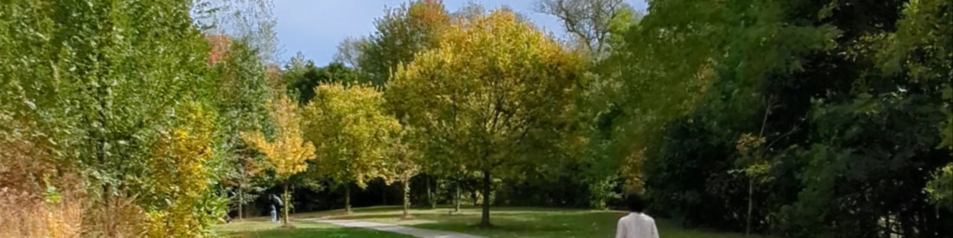 Parc Etienne Brulé