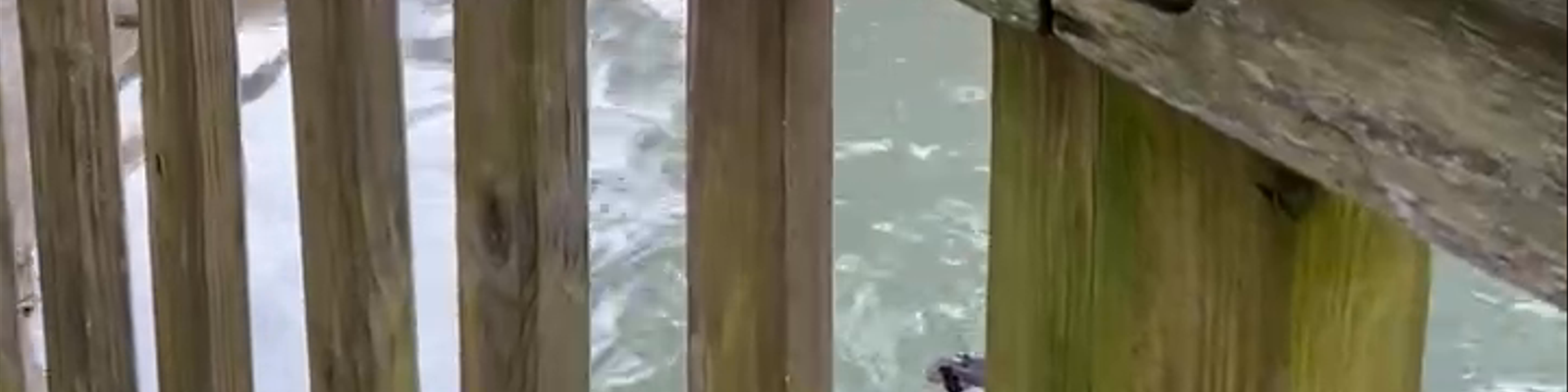 Murrells Inlet