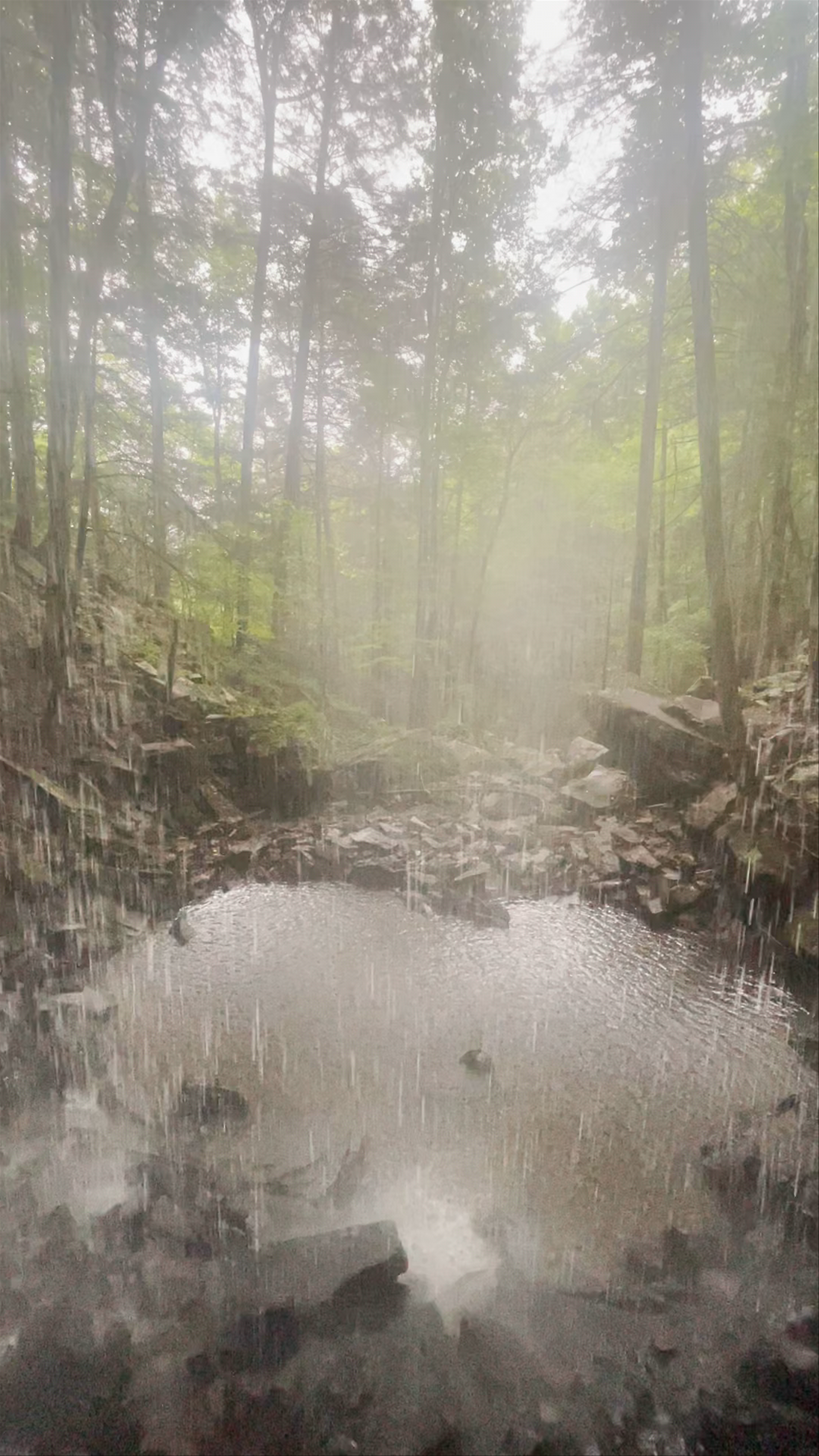 The Falls at Sewanee Creek
