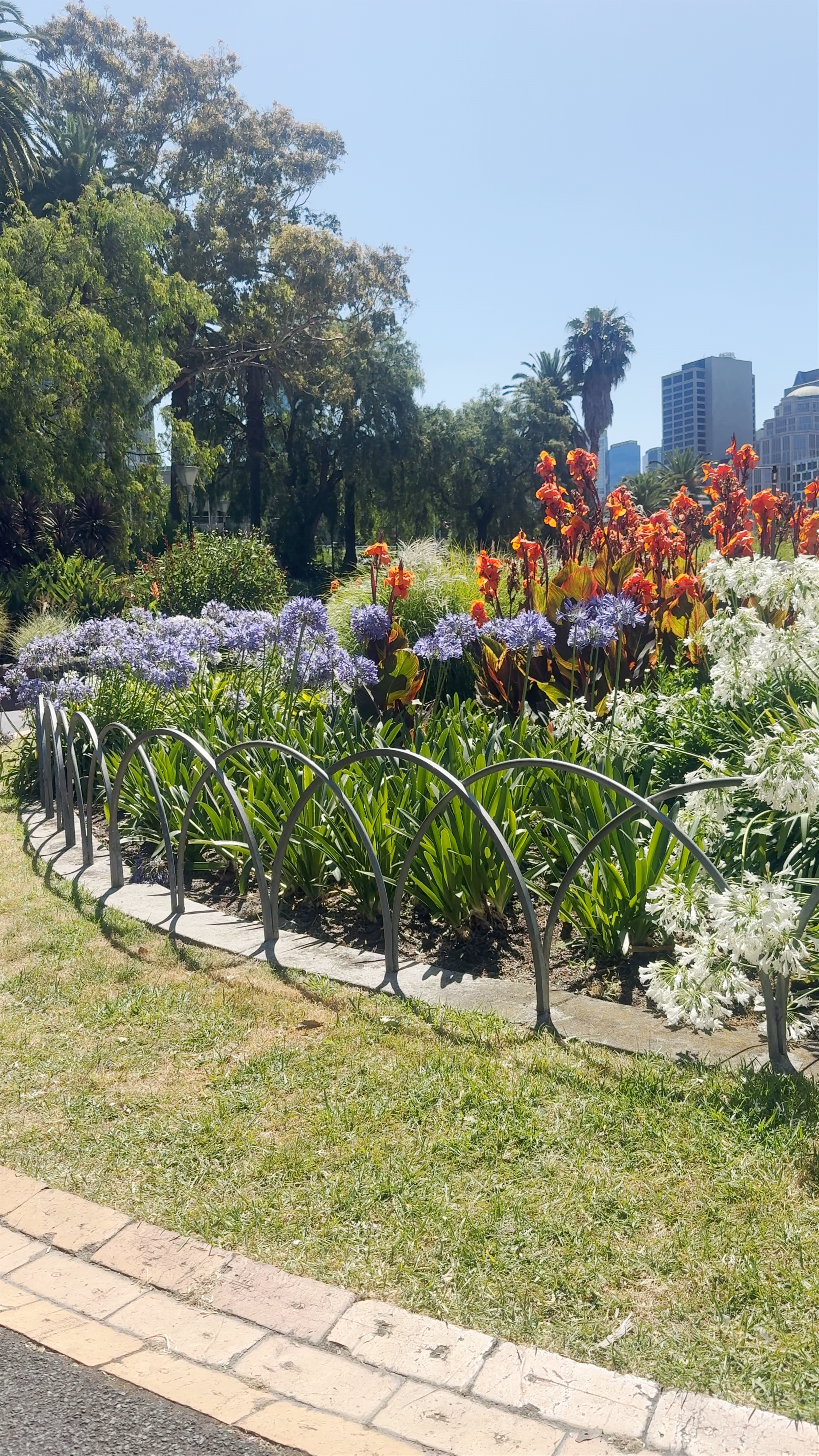 Alexandra Gardens: Urban Floral Serenity in Melbourne