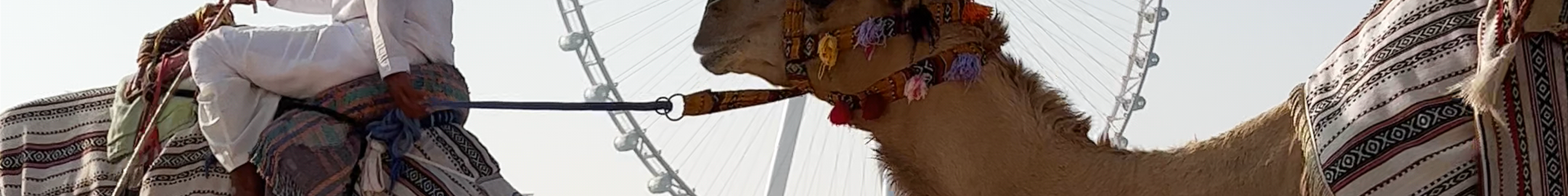 Tours & experiences in United Arab Emirates