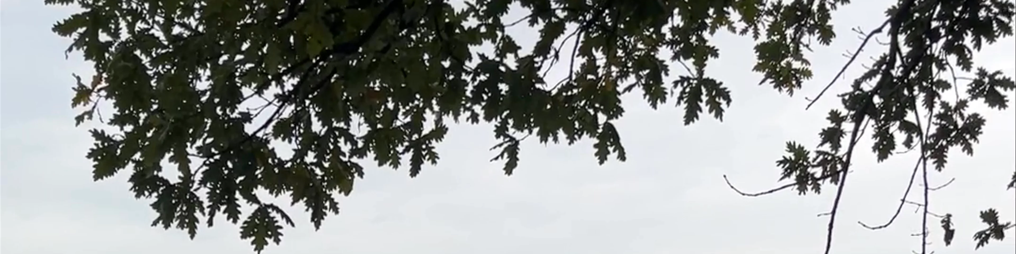 Grand Park of Tirana
