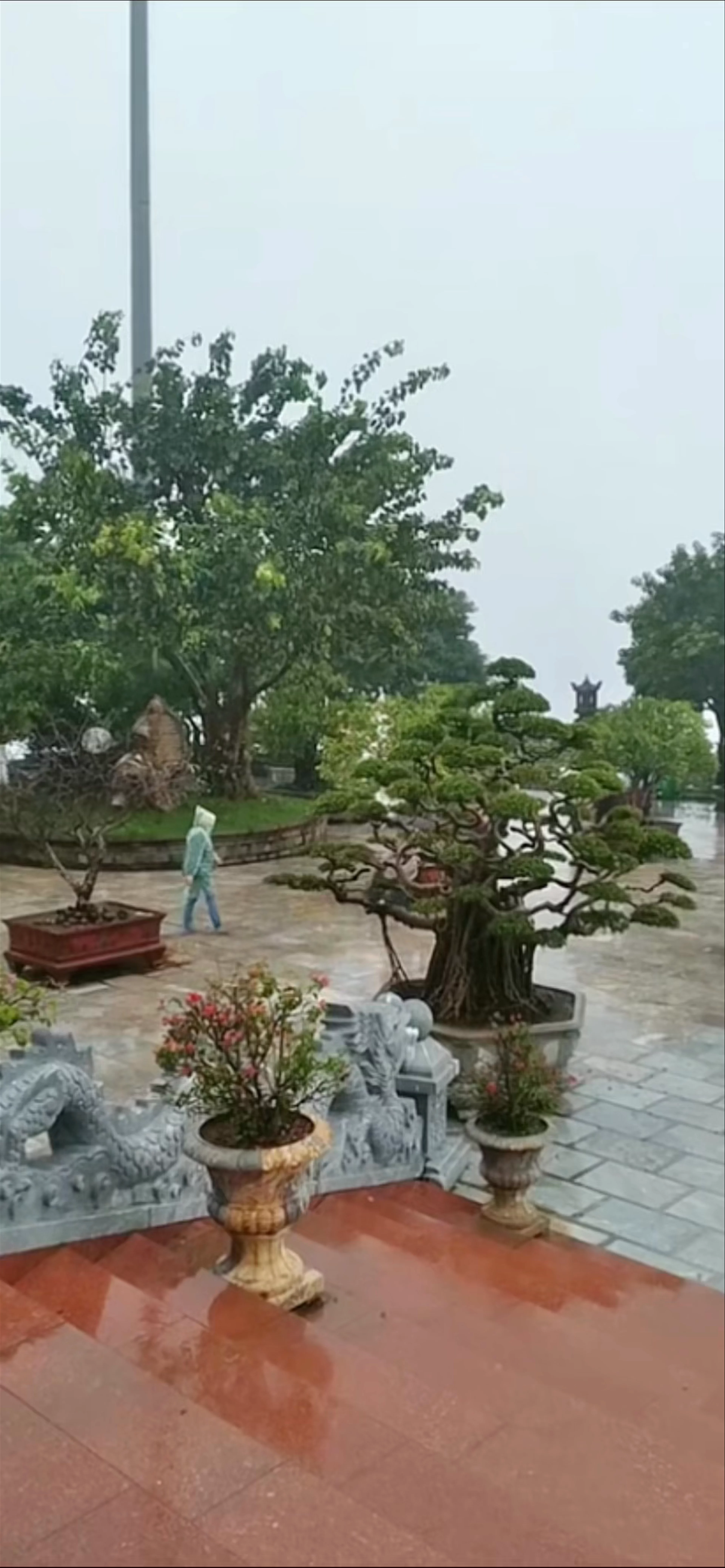 Sơn Trà Mountain, Thọ Quang, Sơn Trà, Da Nang, Vietnam