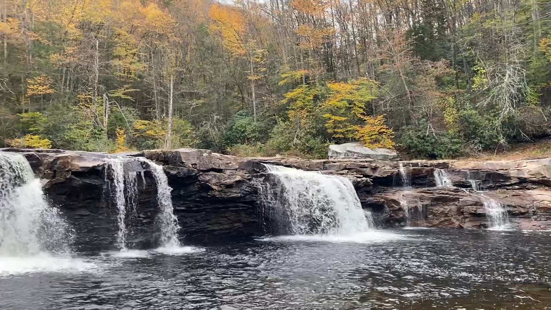 DURBIN & GREENBRIER VALLEY RAILROAD - Updated February 2026 - 13