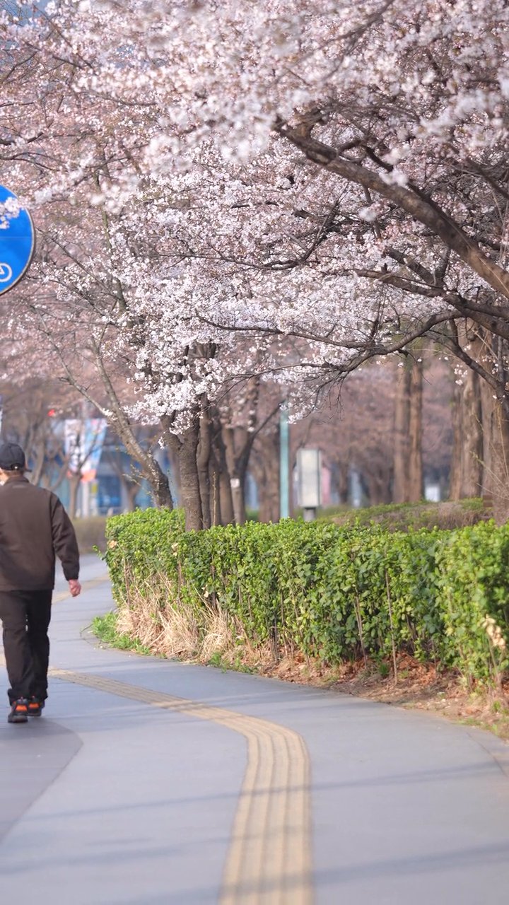 週末はここへ
🎥 Tue Simon · Pexels
#日本 #旅行 #絶景 #風景 #japan