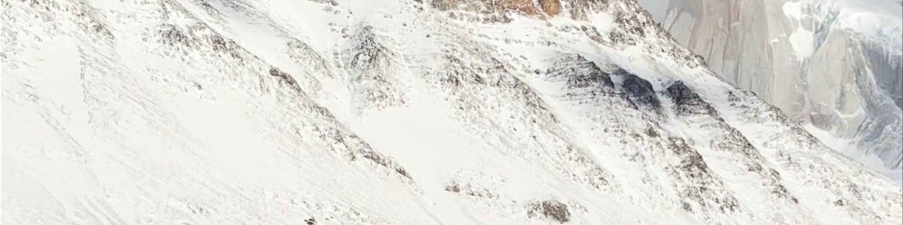 Santa Cruz