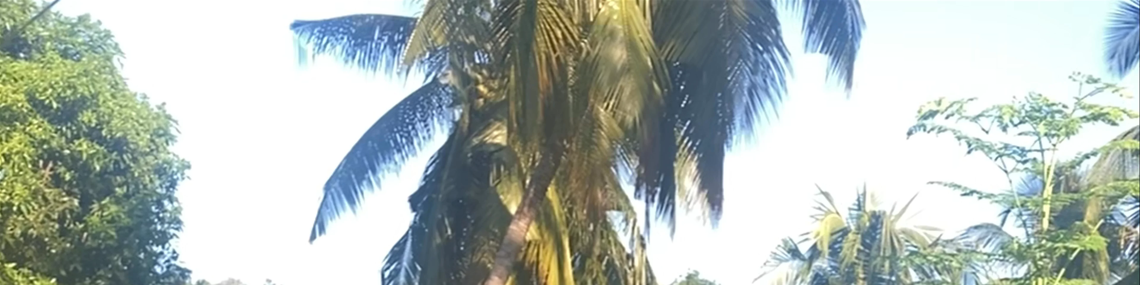 Riung Guest House