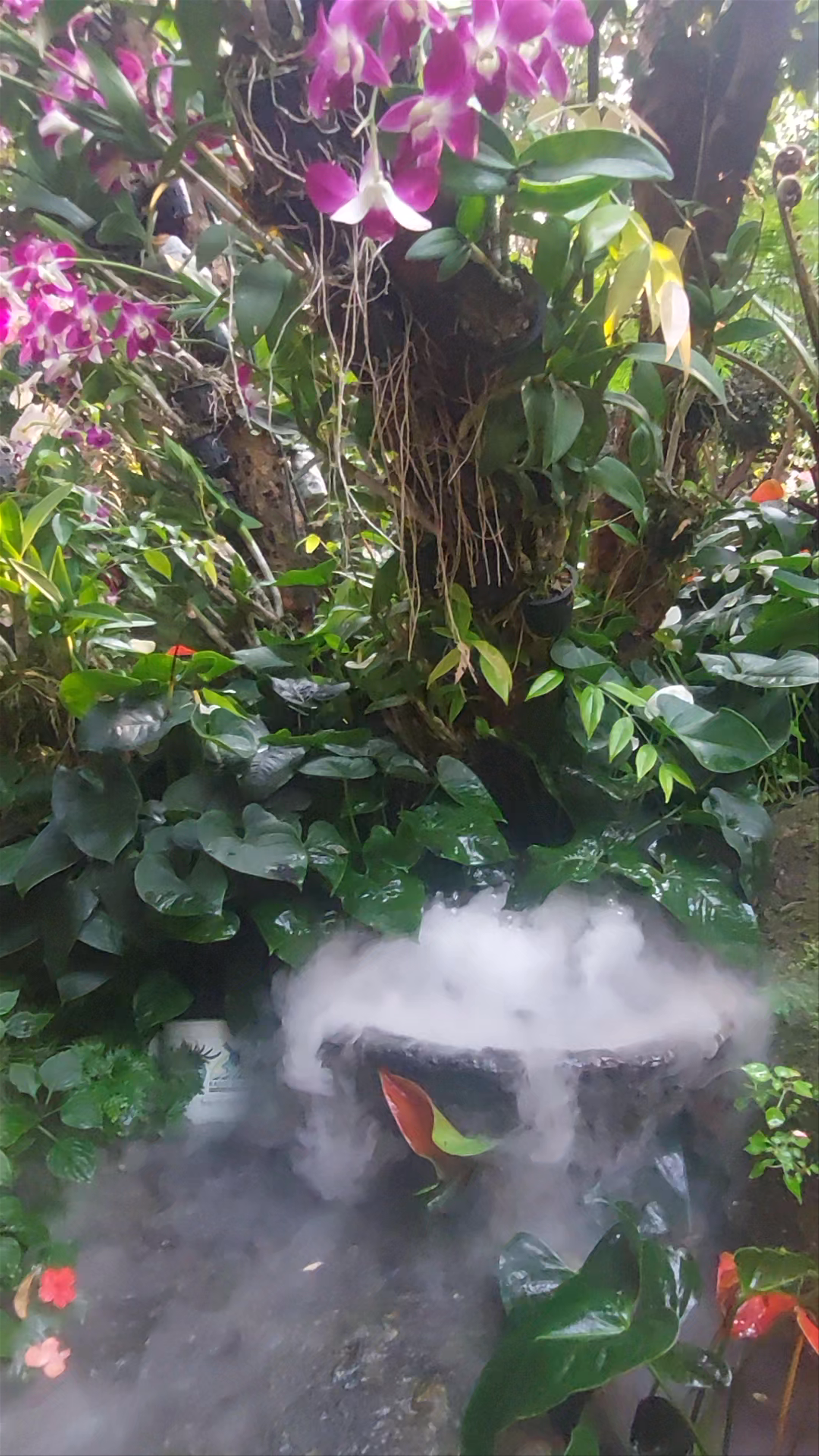 Lalitta Café Rim Kok: A Tropical Botanical Escape in Chiang Rai