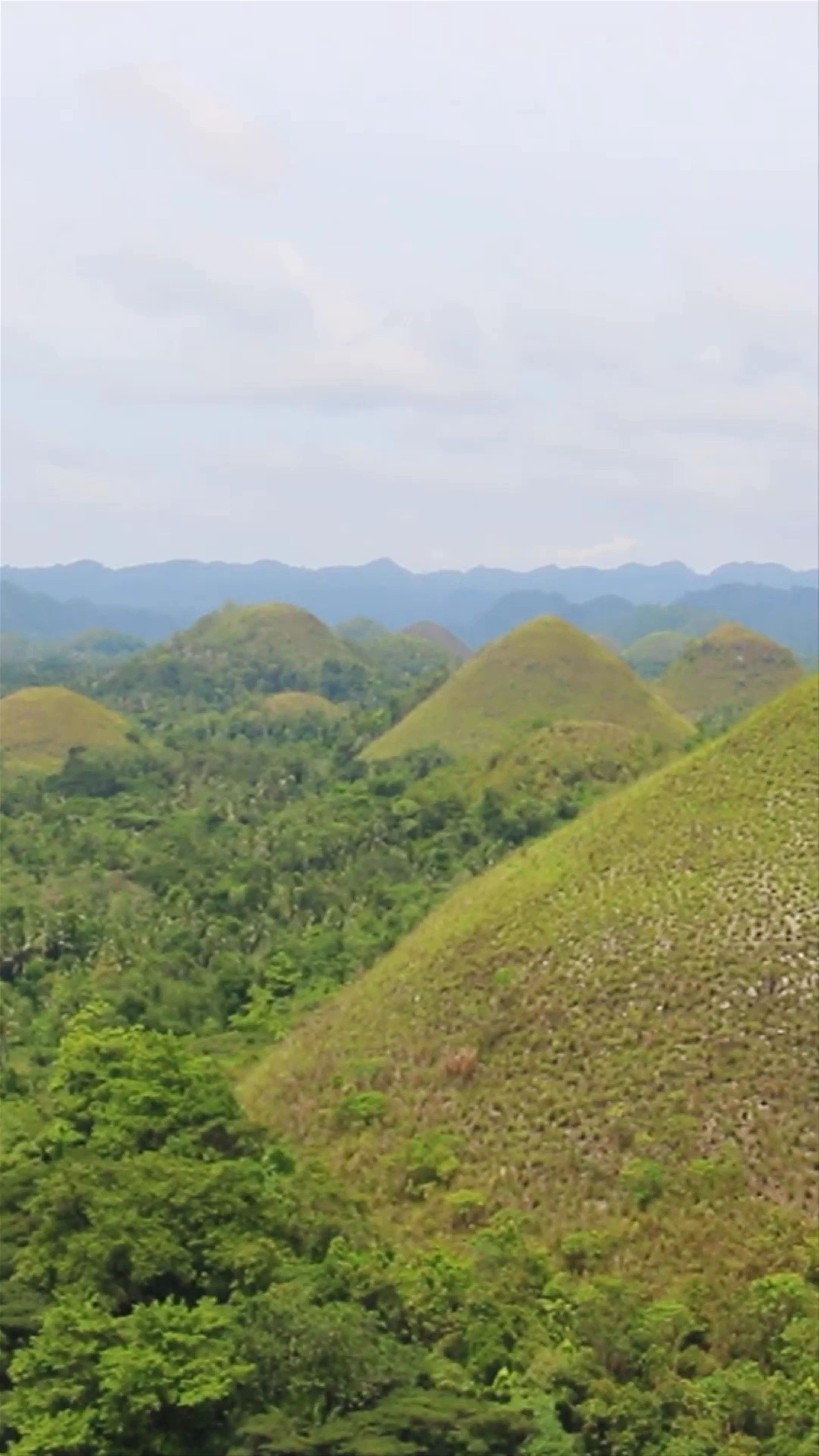 Chocolate Hills