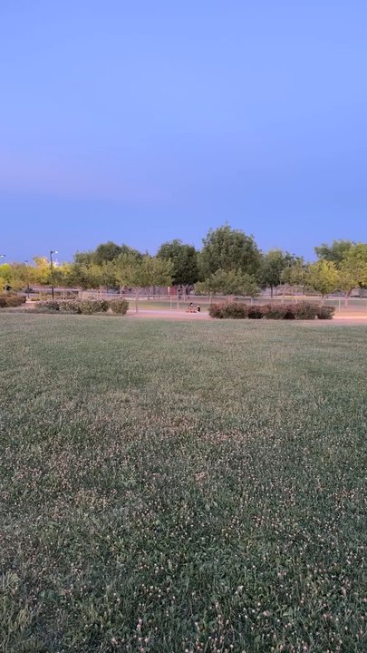 Knickerbocker Park - Dog Parks Near Me - Las Vegas, Nevada
