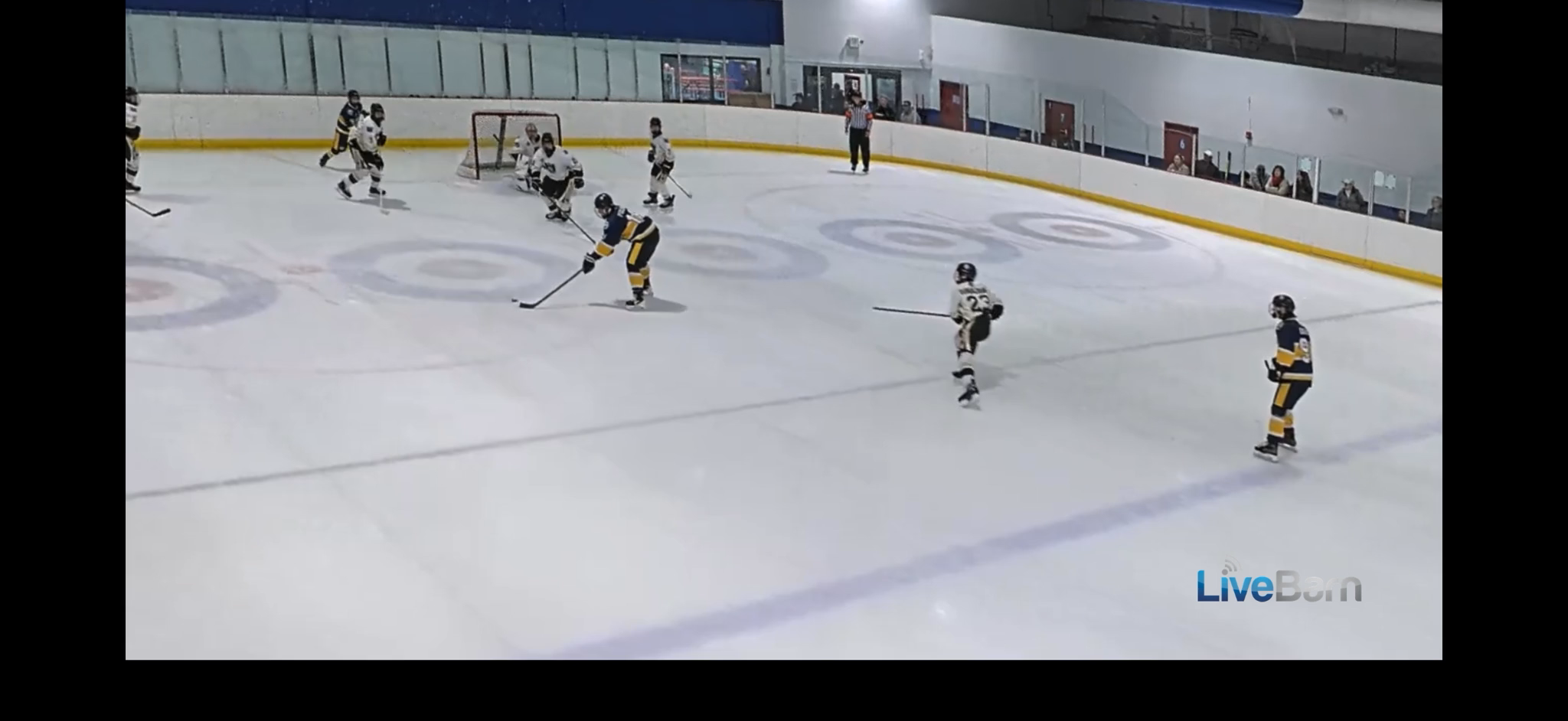 Daniel Pollino: Highlight Goals & Offensive Skills from Stoneman Douglas