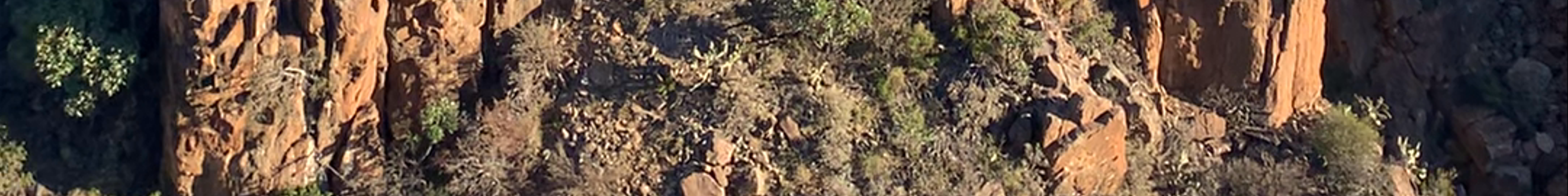 Tours & experiences in Graaff Reinet