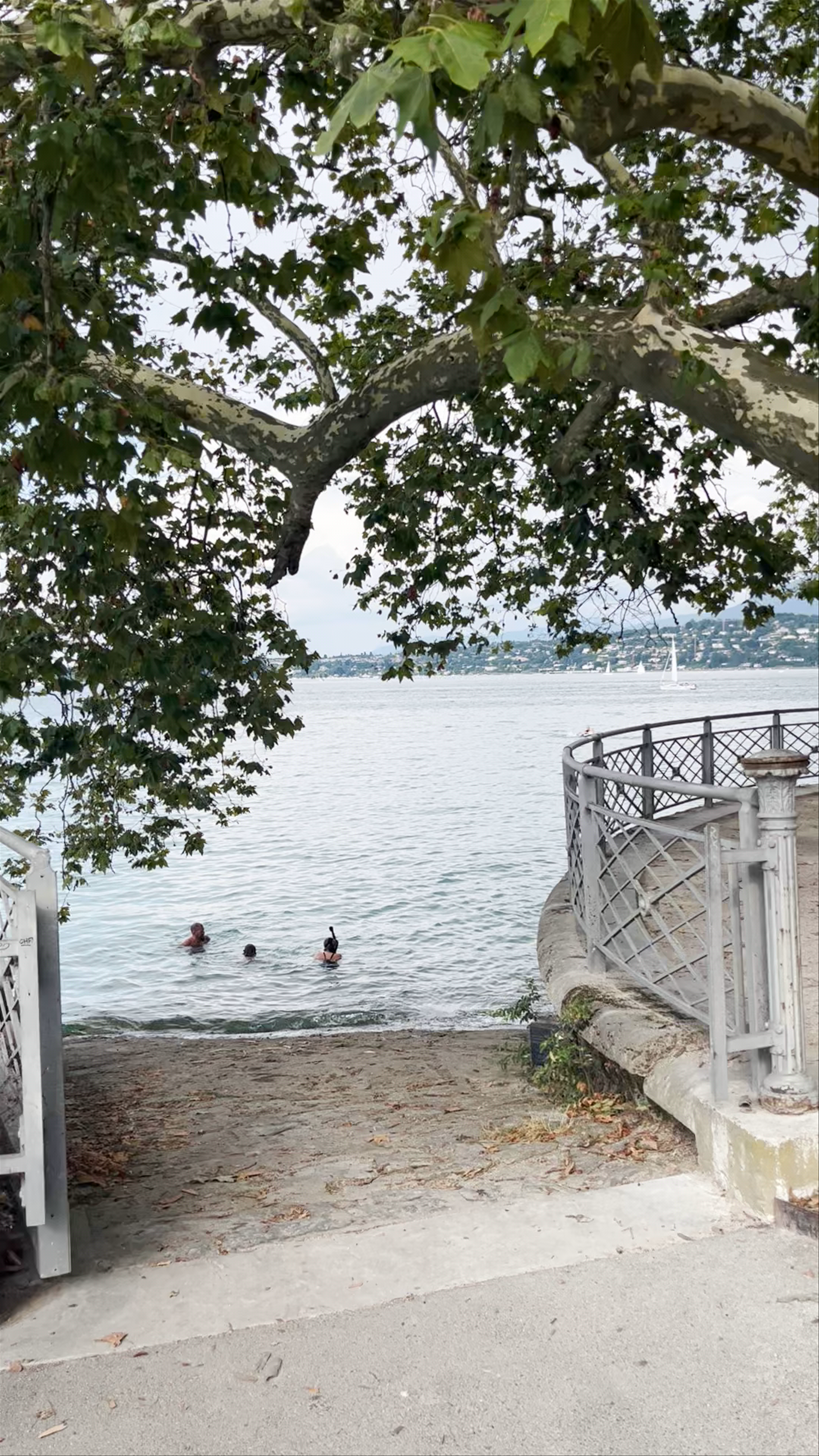 Serene Lakeside Escape at Parc de La Perle du Lac, Geneva