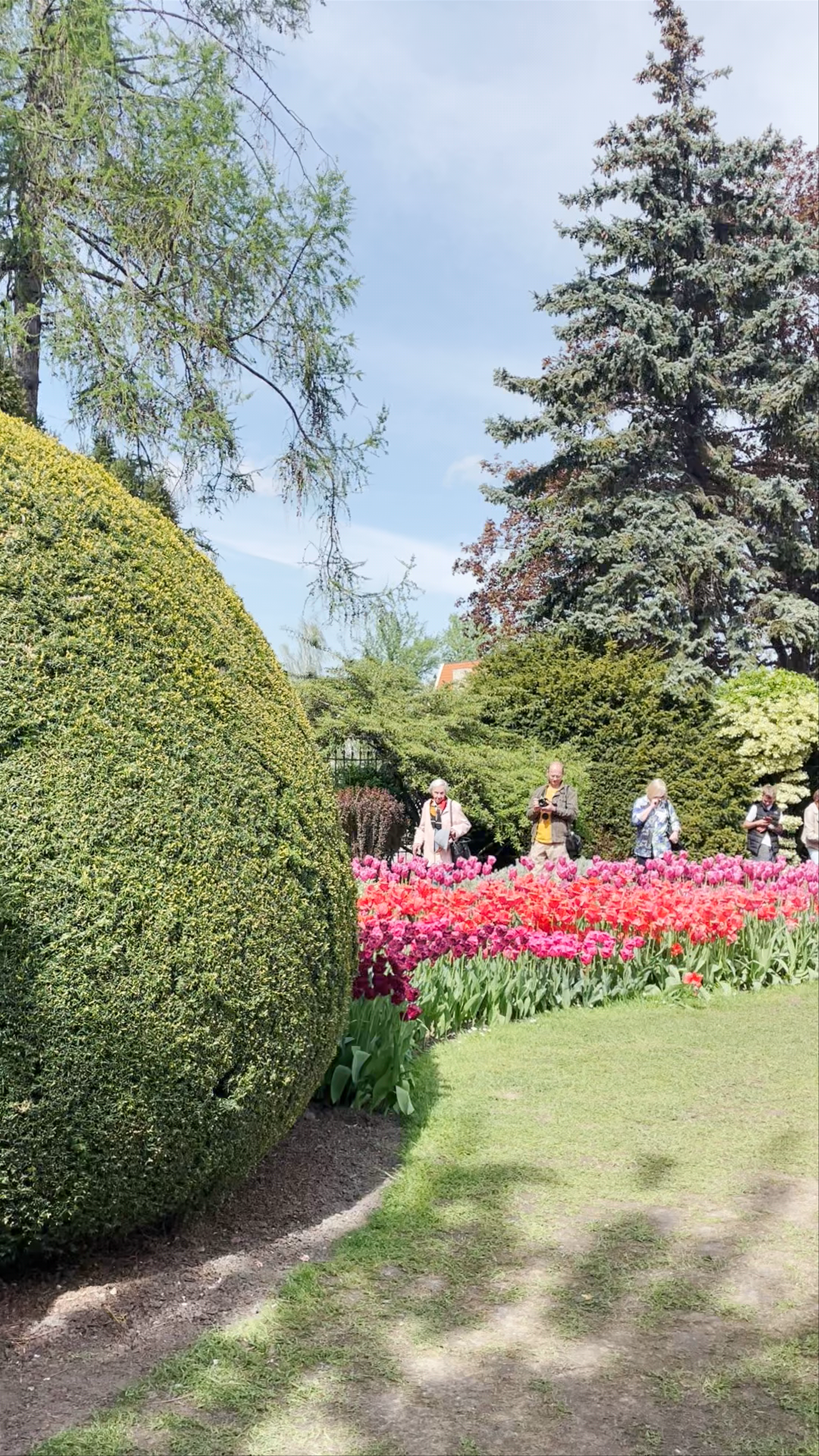 Springtime Splendor at the Botanical Garden of the University of Wrocław