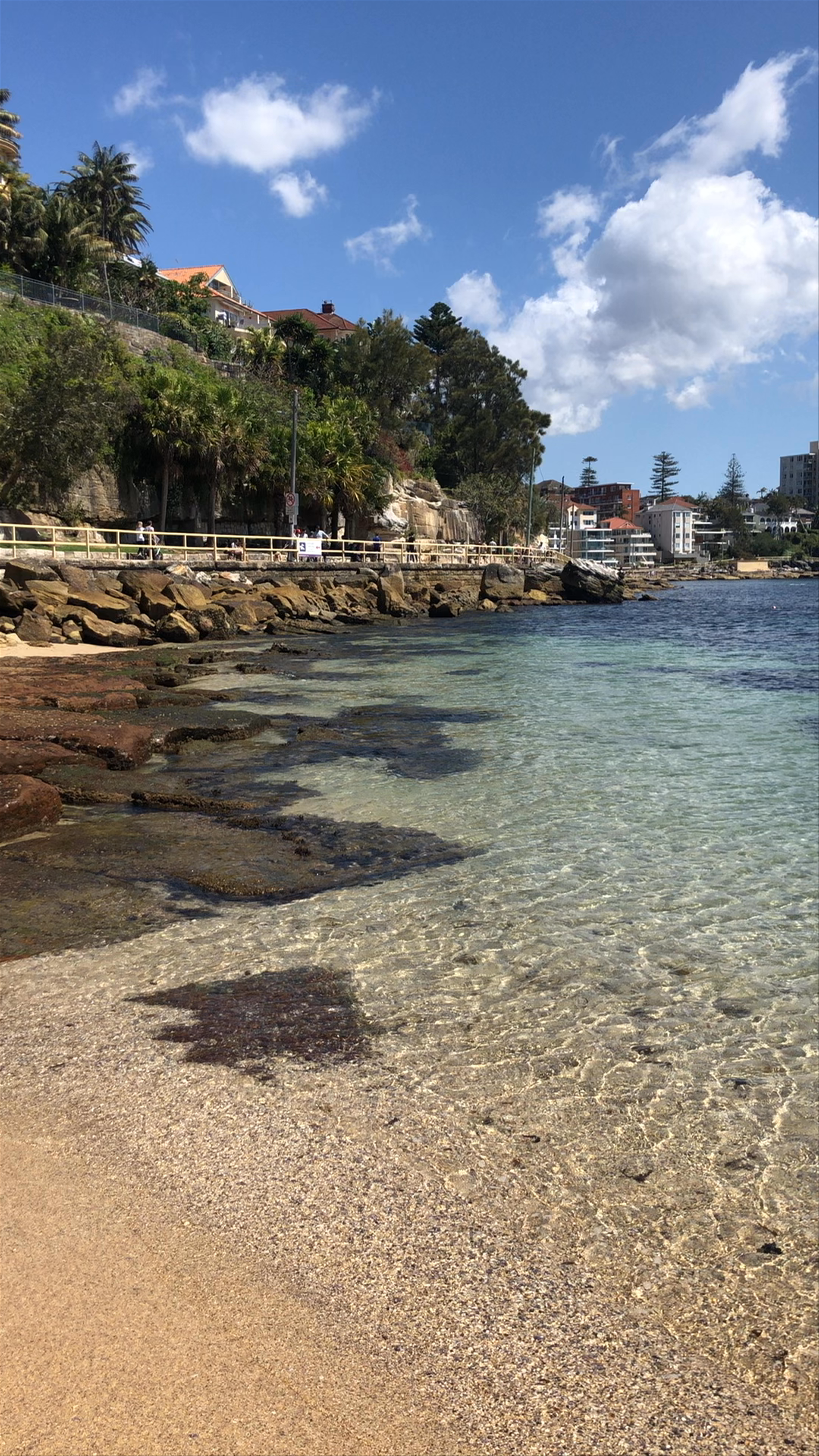 Shelly Beach, Manly: A Sparkling Coastal Escape in New South Wales