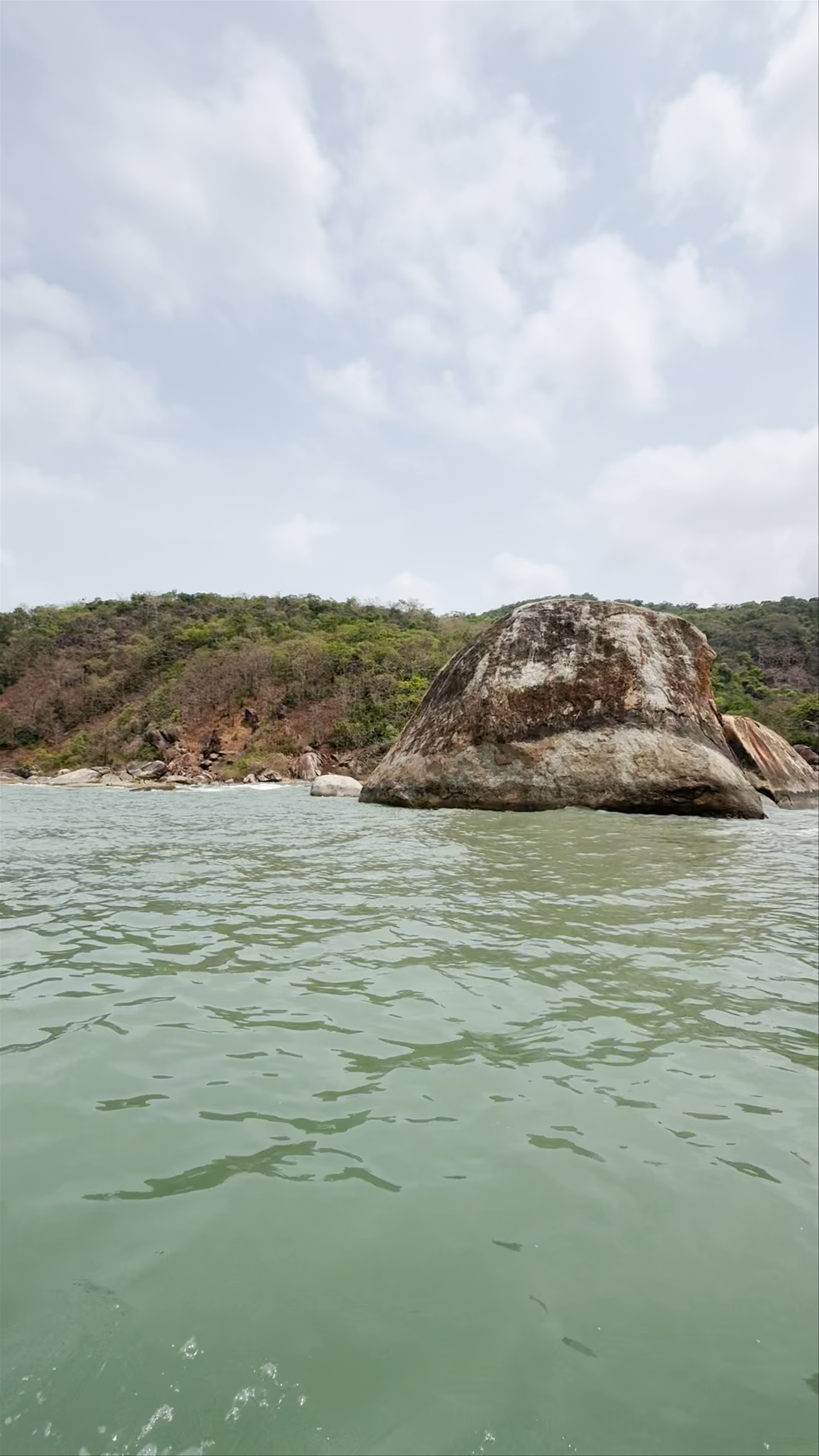 Turtle Rock
