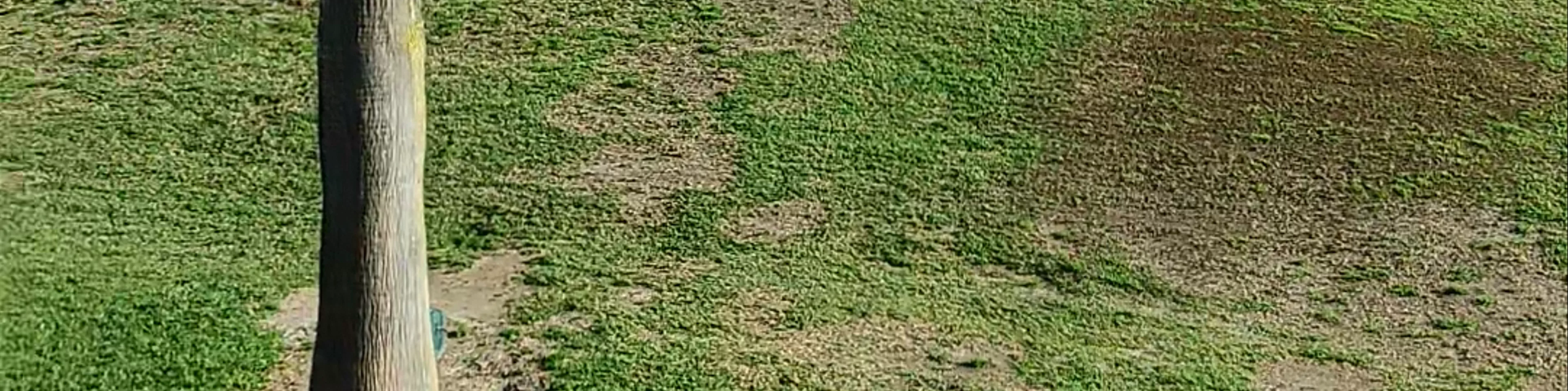 Club de Golf Jávea