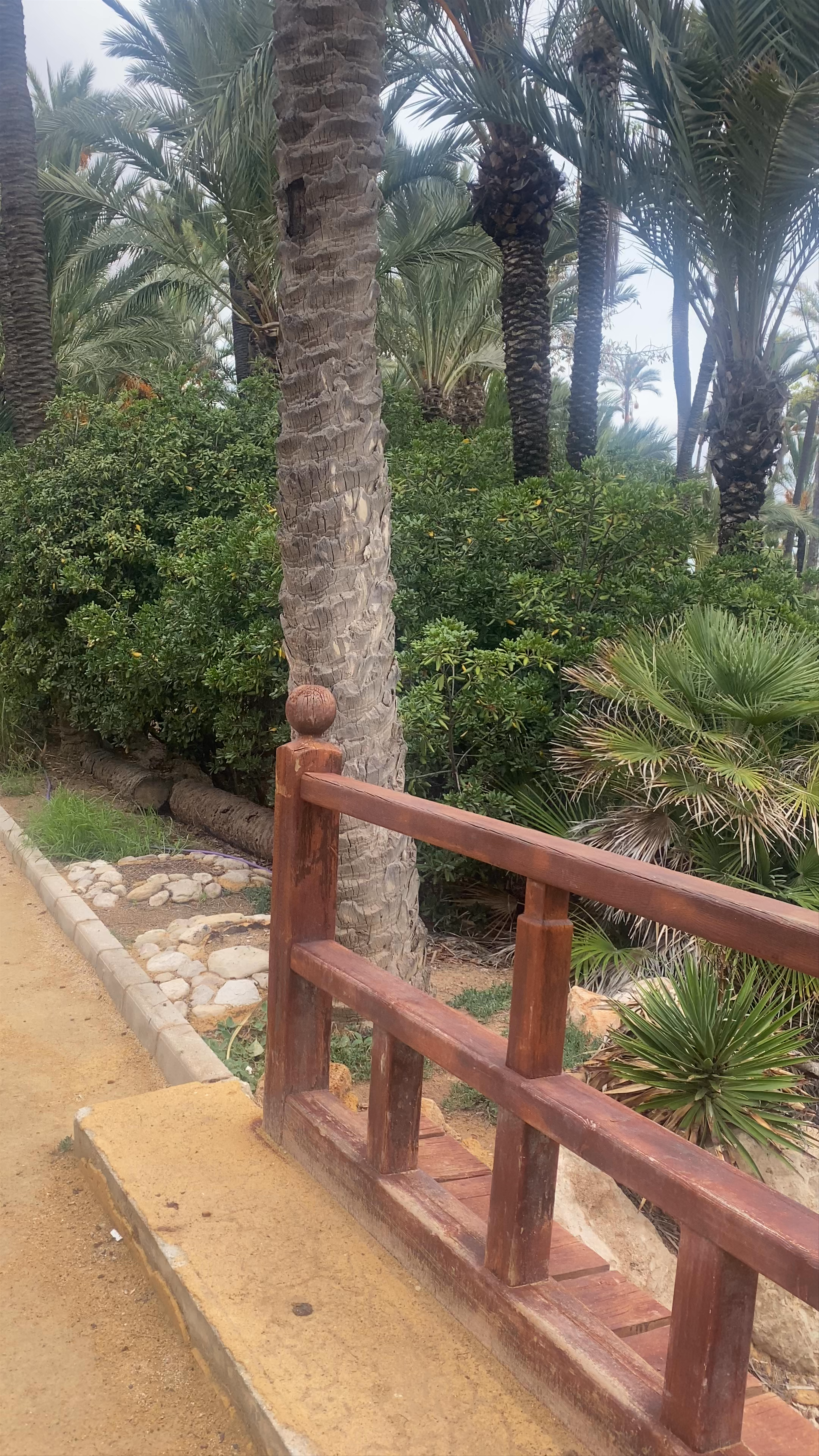 Parc El Palmeral