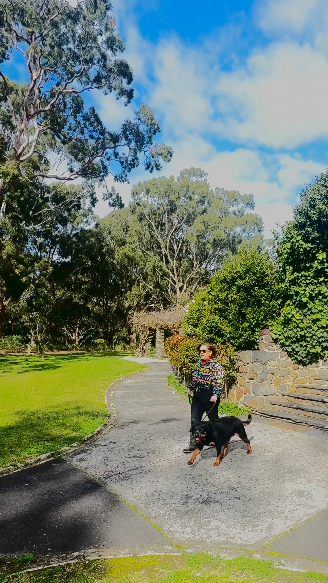 Dog Walking Routine | Pet Lifestyle UGC