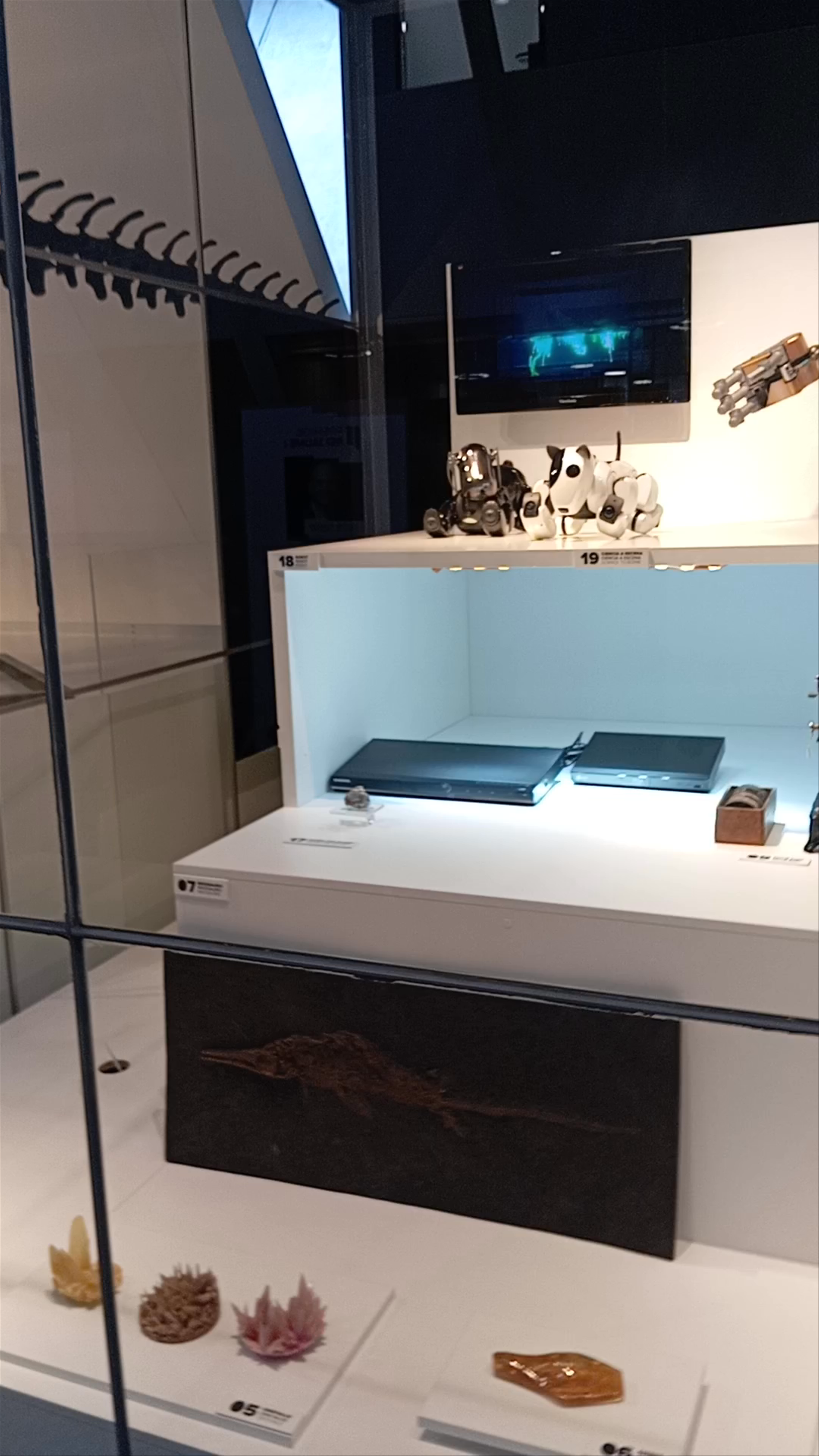 Museu de les Ciències Príncipe Felipe
