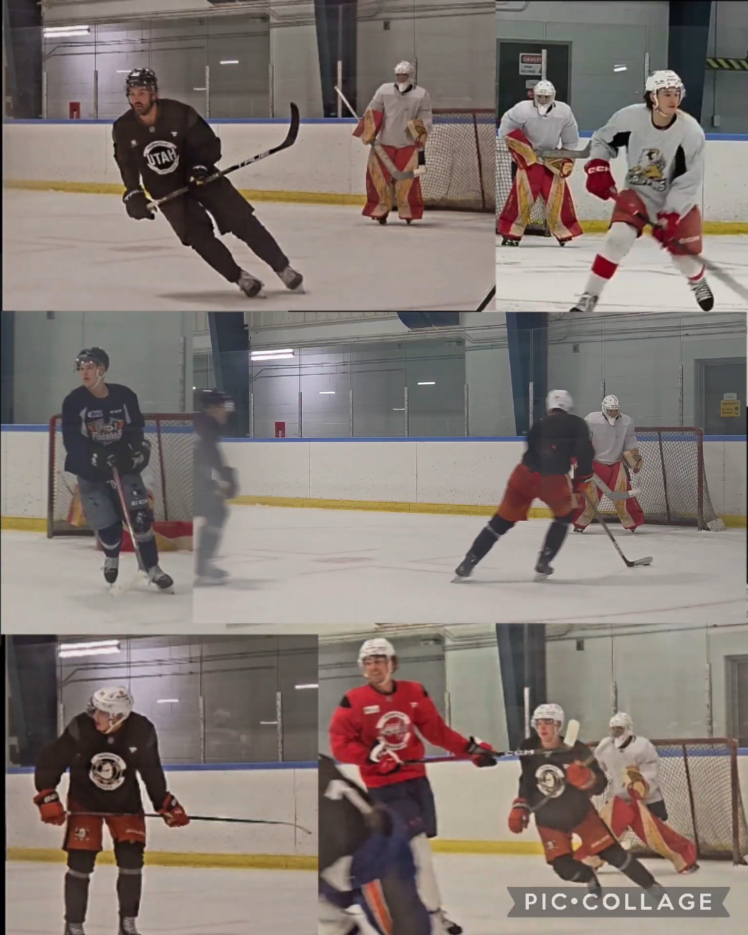Liam Diarias: Off-Season Training Highlights with NHL Players Jack Mcbain (Utah), Dylan Strome (Wash), Pavel Mintyukov (ANA) and Amadeus Lombardi (Griffiths), Uly Lombardi (Erie)