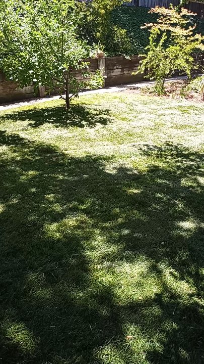 A-1 Complete Landscape And Maintenance - Landscaping Near Me - San Ramon, California