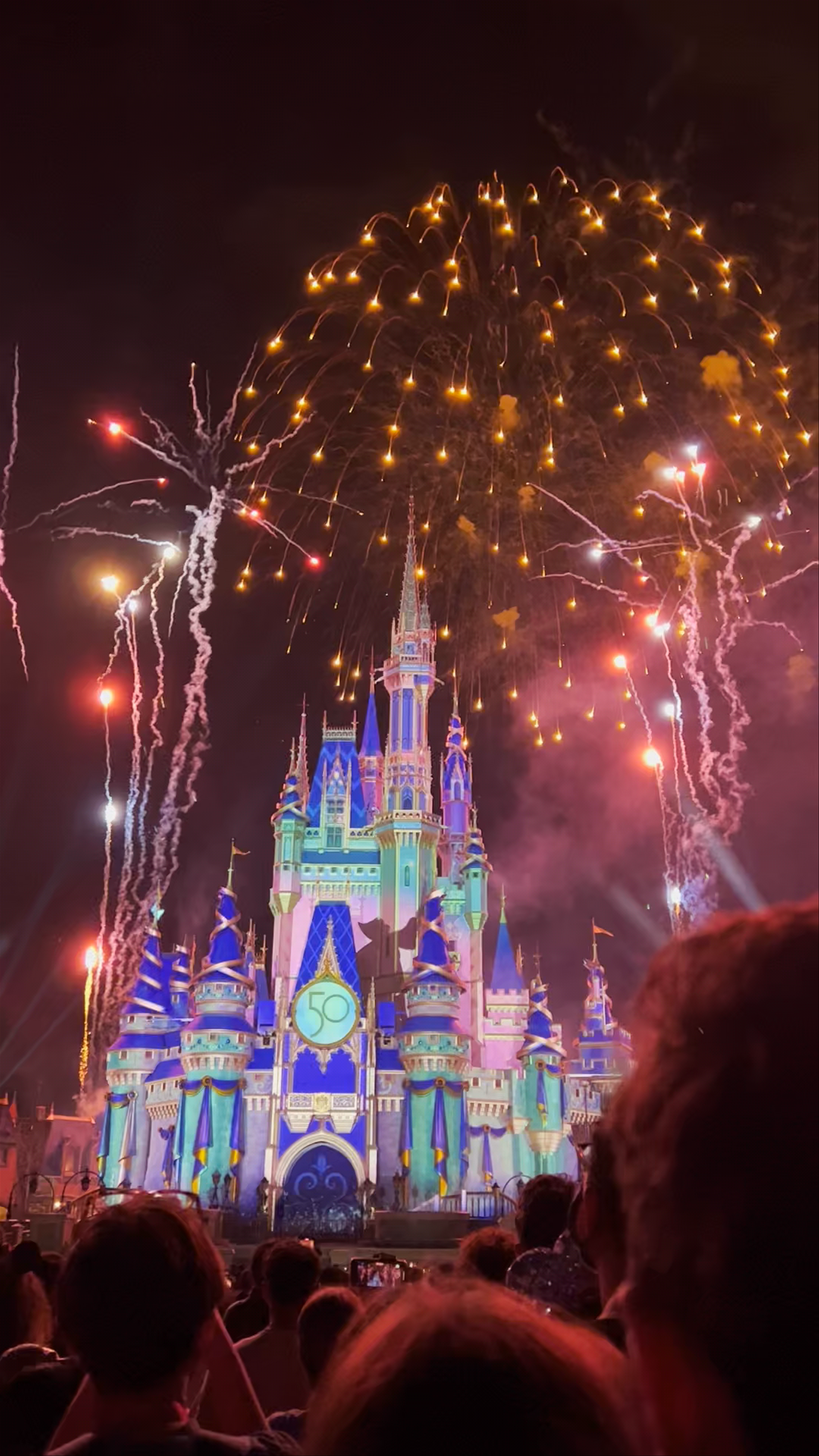Magic Kingdom Fireworks Celebration at Disney World Orlando