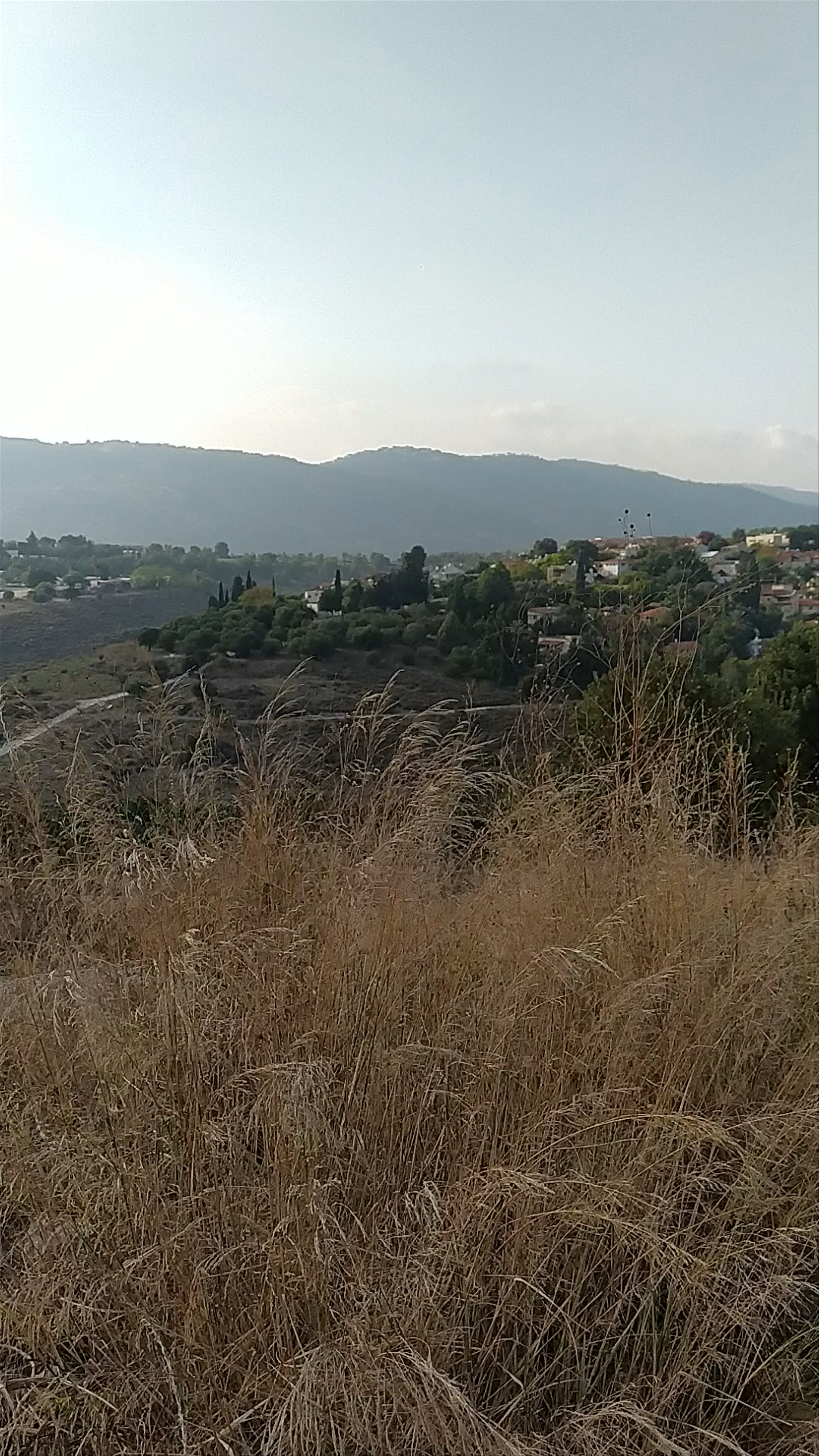 The statue of Alexander Zaid