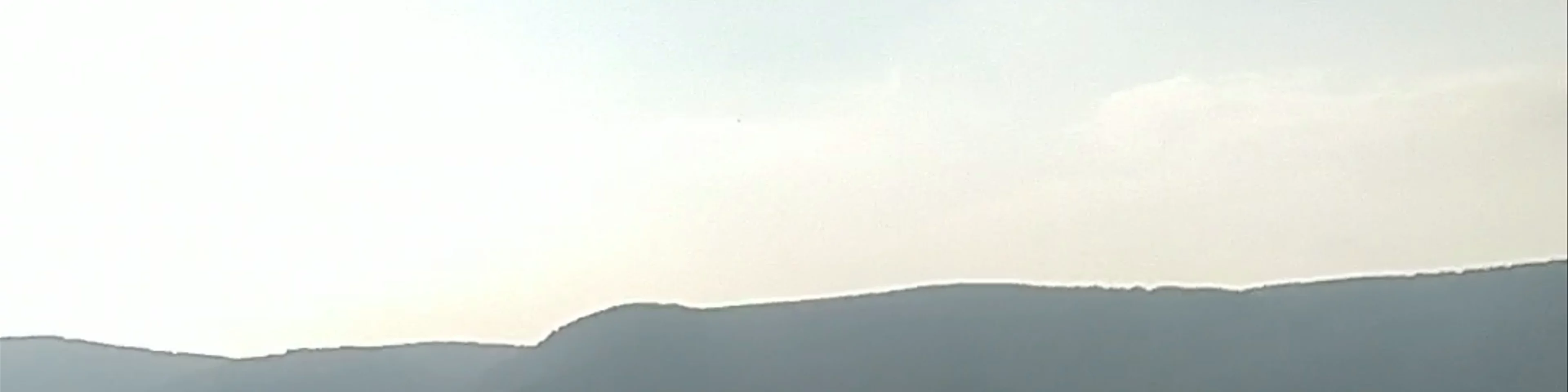 The statue of Alexander Zaid