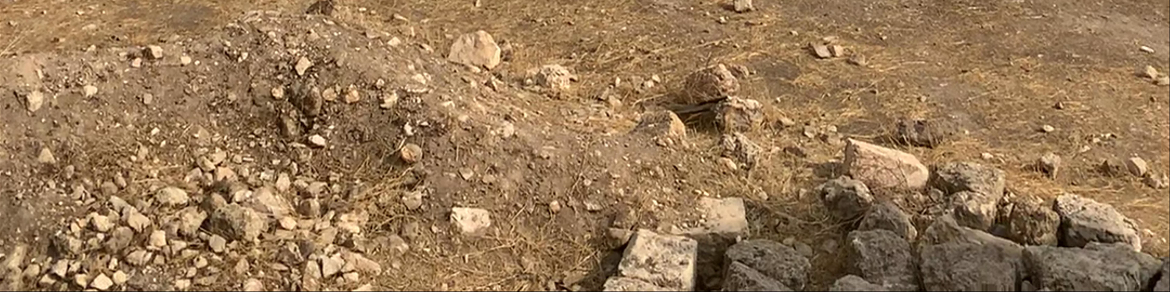 Amman Citadel