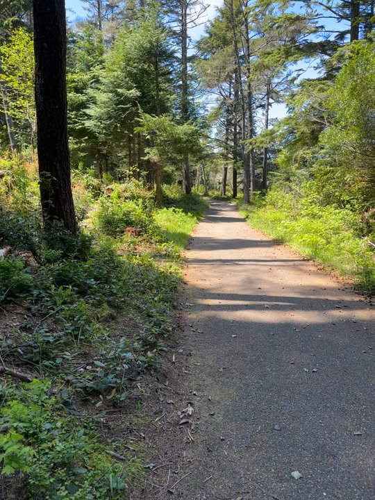 John Topits Park - Walking at John Topits Park - Parks Near Me - Coos Bay, Oregon