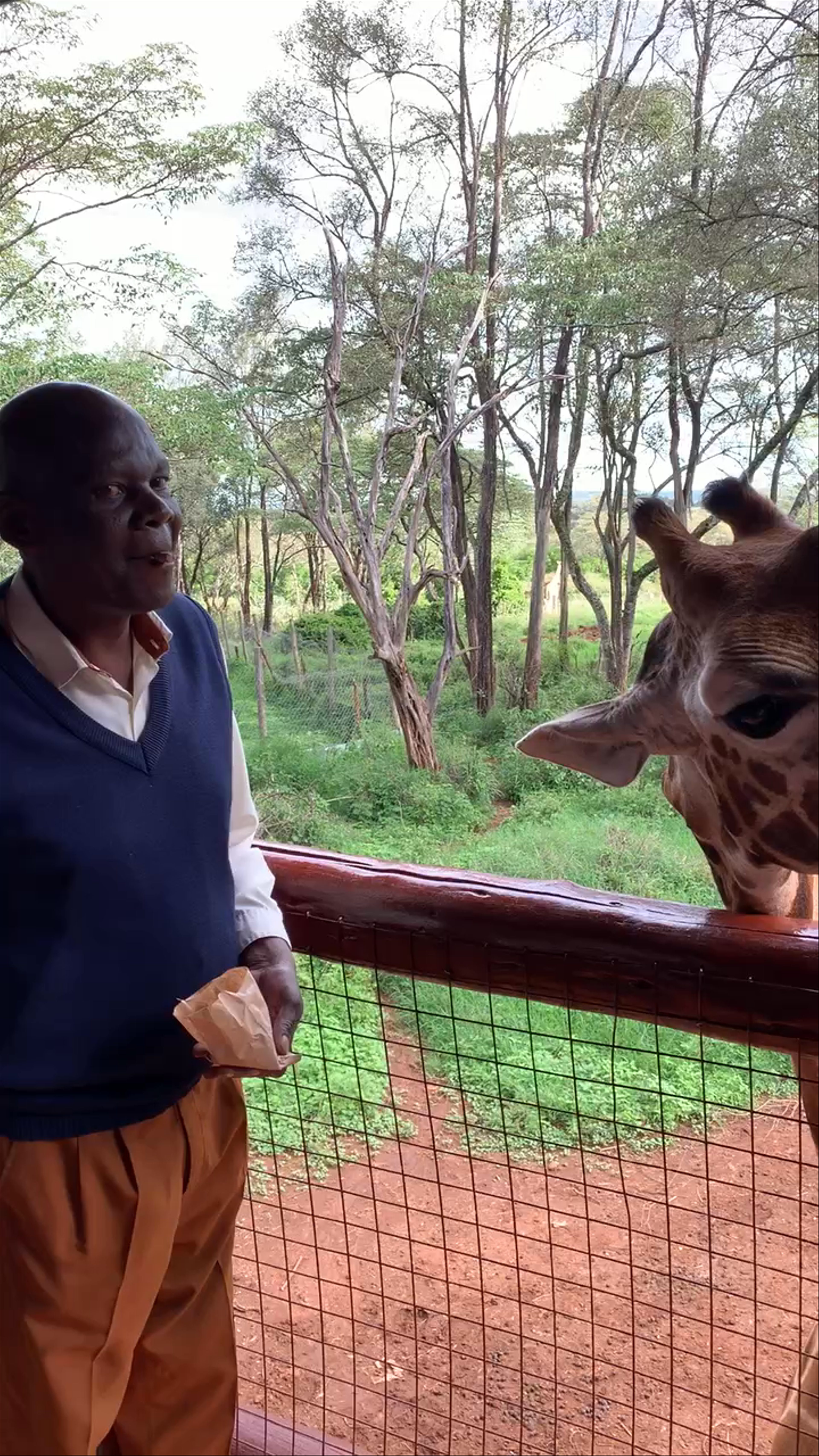 Giraffe Centre Encounter in Nairobi, Kenya