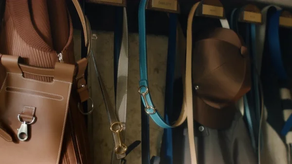 Pony Dance - © Oddity Radio