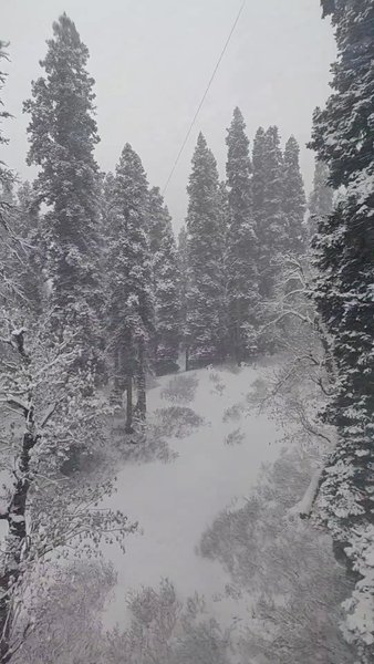 Photo of Narnia Vibes @Gulmar