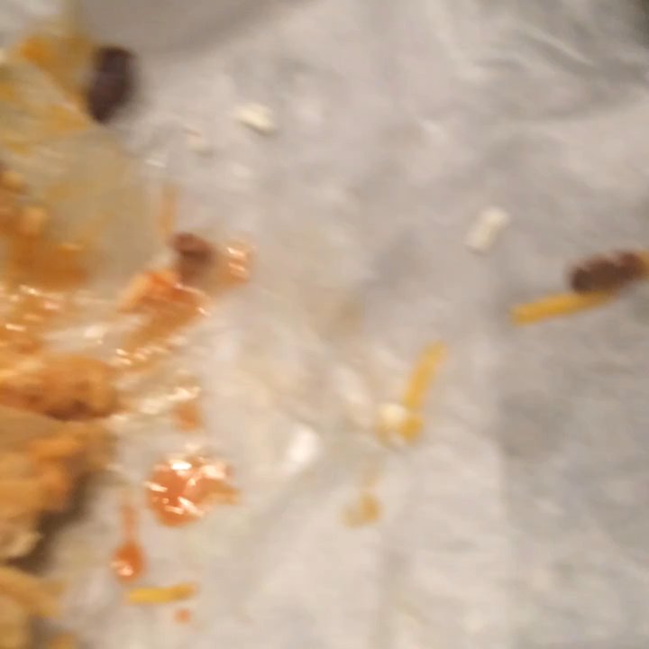 Fuzzy's Taco Shop - Mexican Near Me - Fort Collins, Colorado