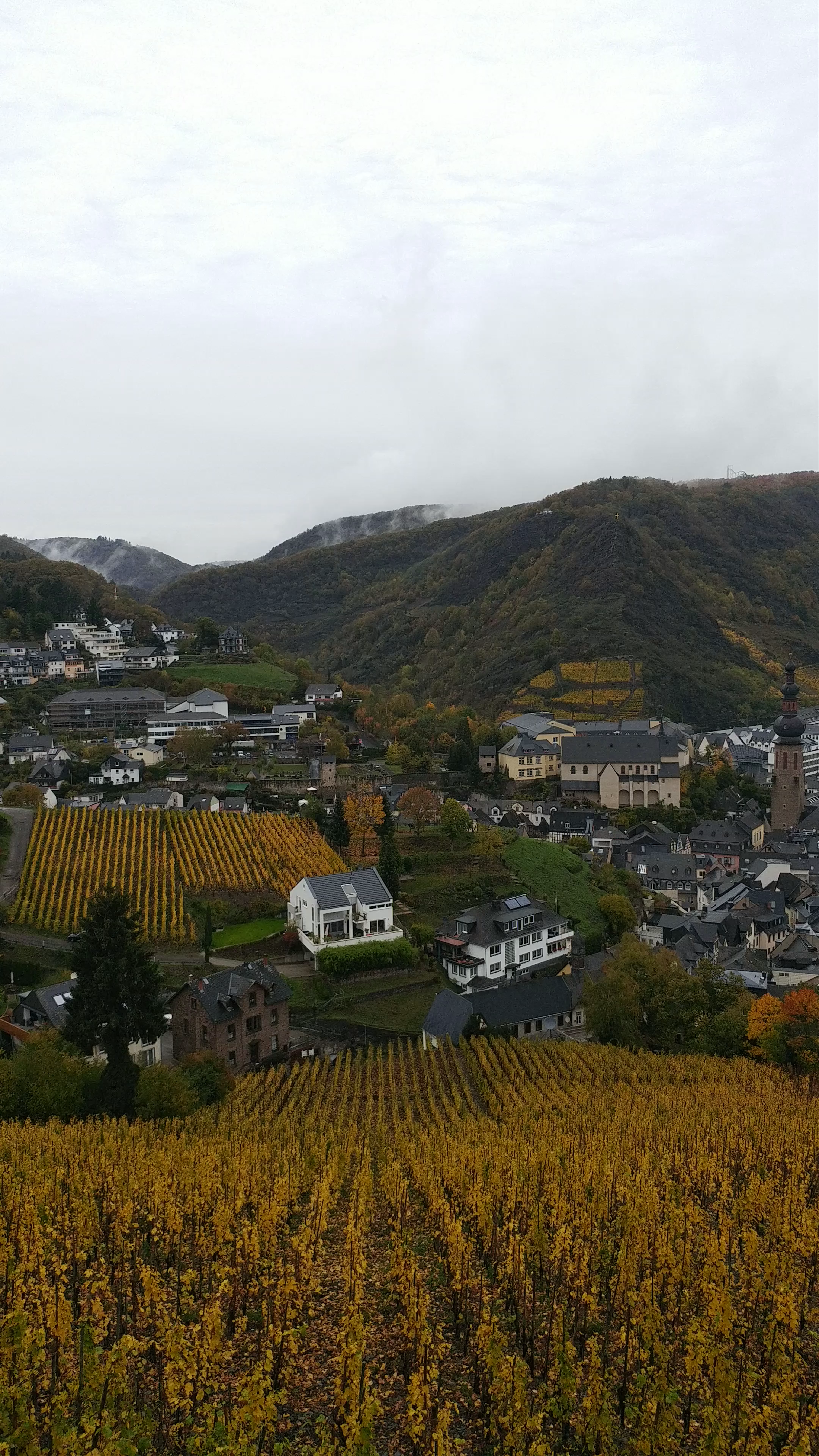Cochem Castle