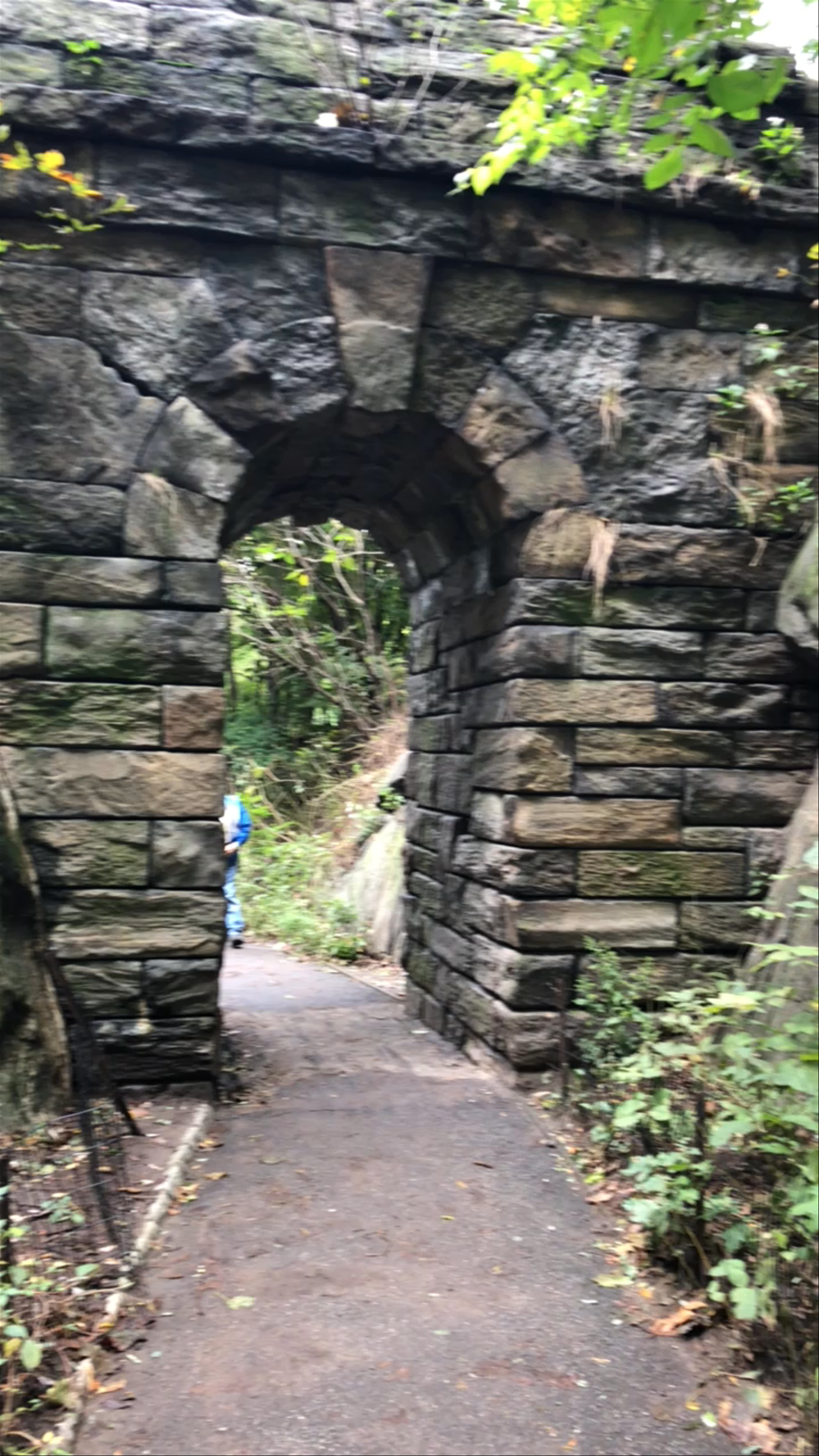 Central Park Woodland Trail and Stone Arch Walkthrough