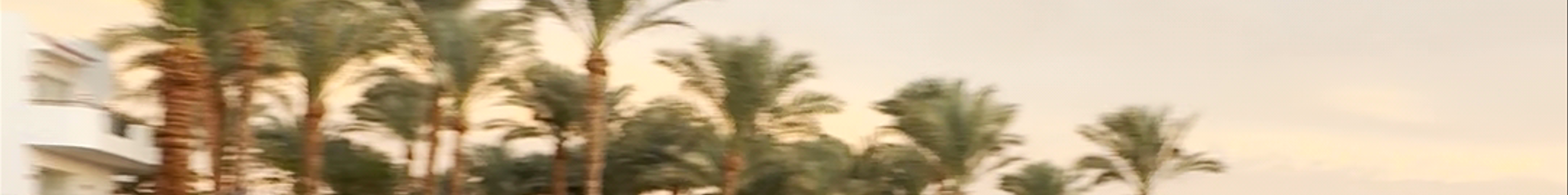 Tours & experiences in Egypt