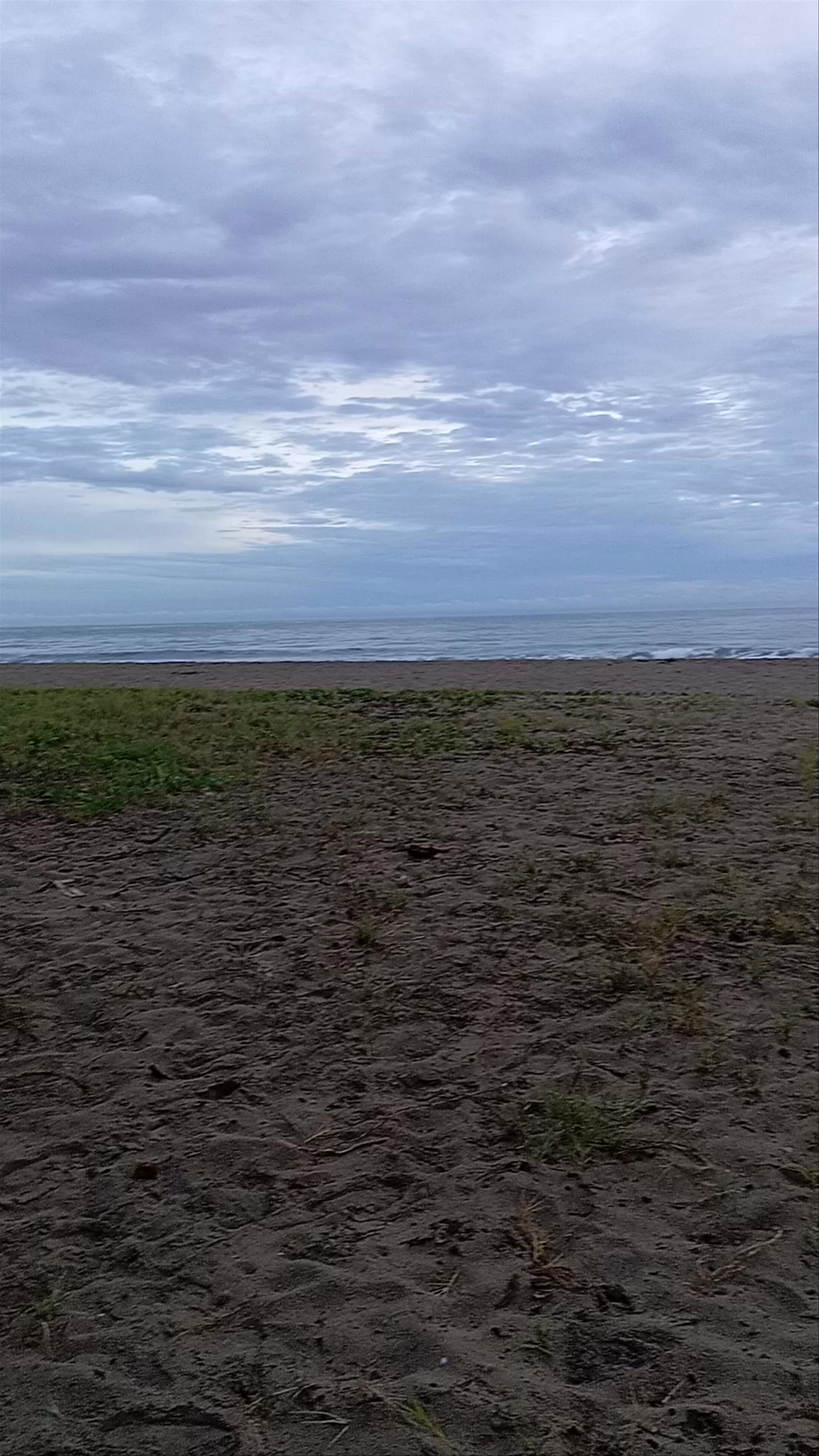 Playa Cocles